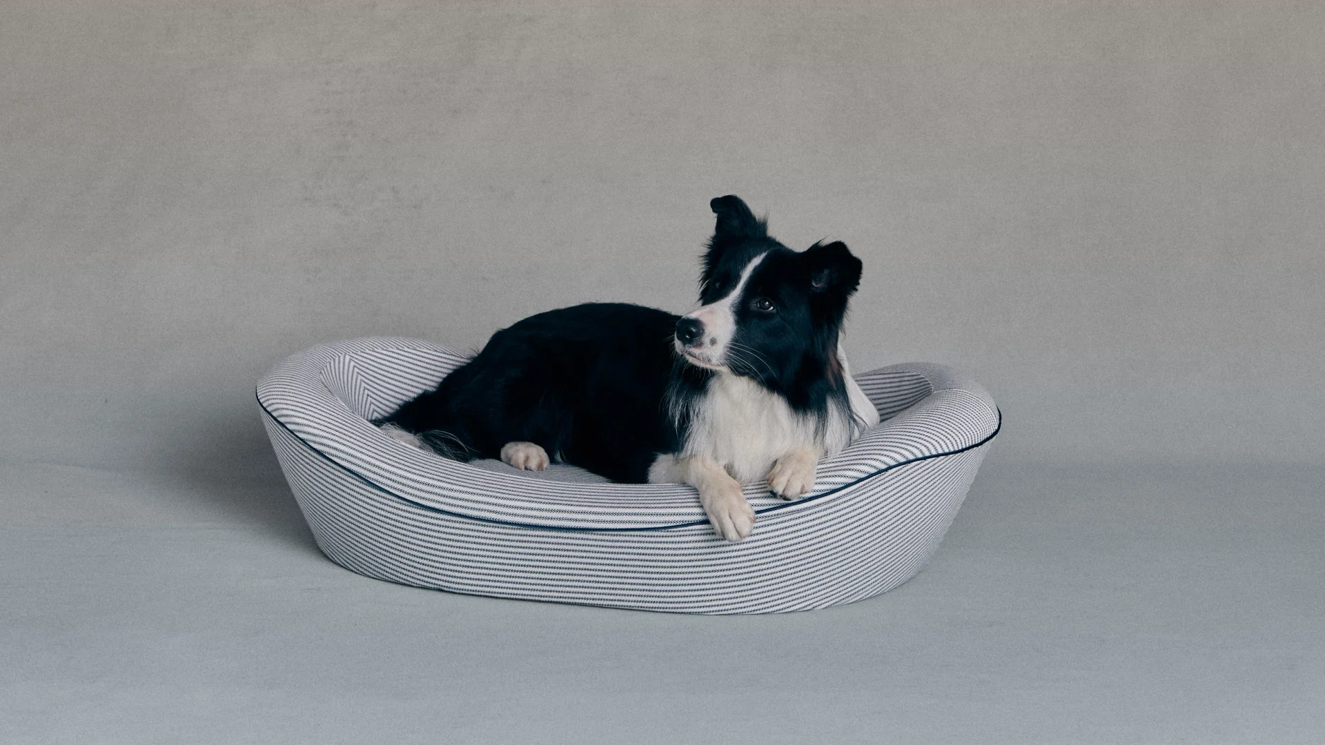 Timeless Dog Bed in Blue Blood Ticking - Image 4