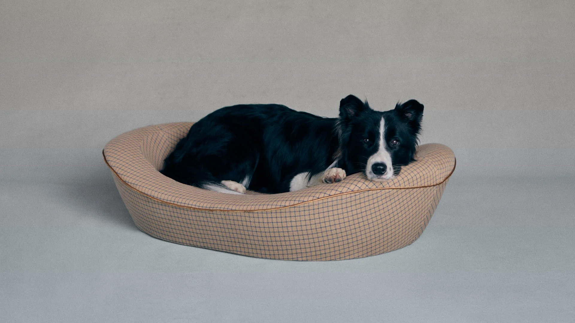 Timeless Dog Bed in Tawny Ledger - Image 4