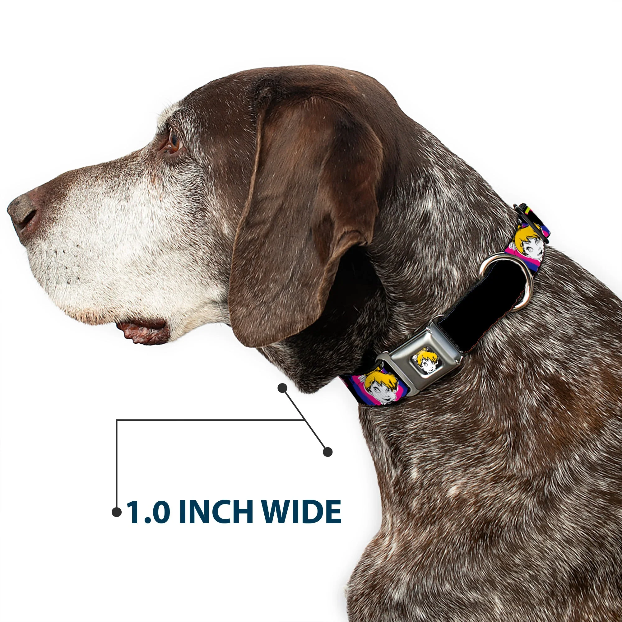 Tink Luxe Full Color Black White Seatbelt Buckle Collar - TINK LUXE Sketch Black/Multi Neon - Image 6