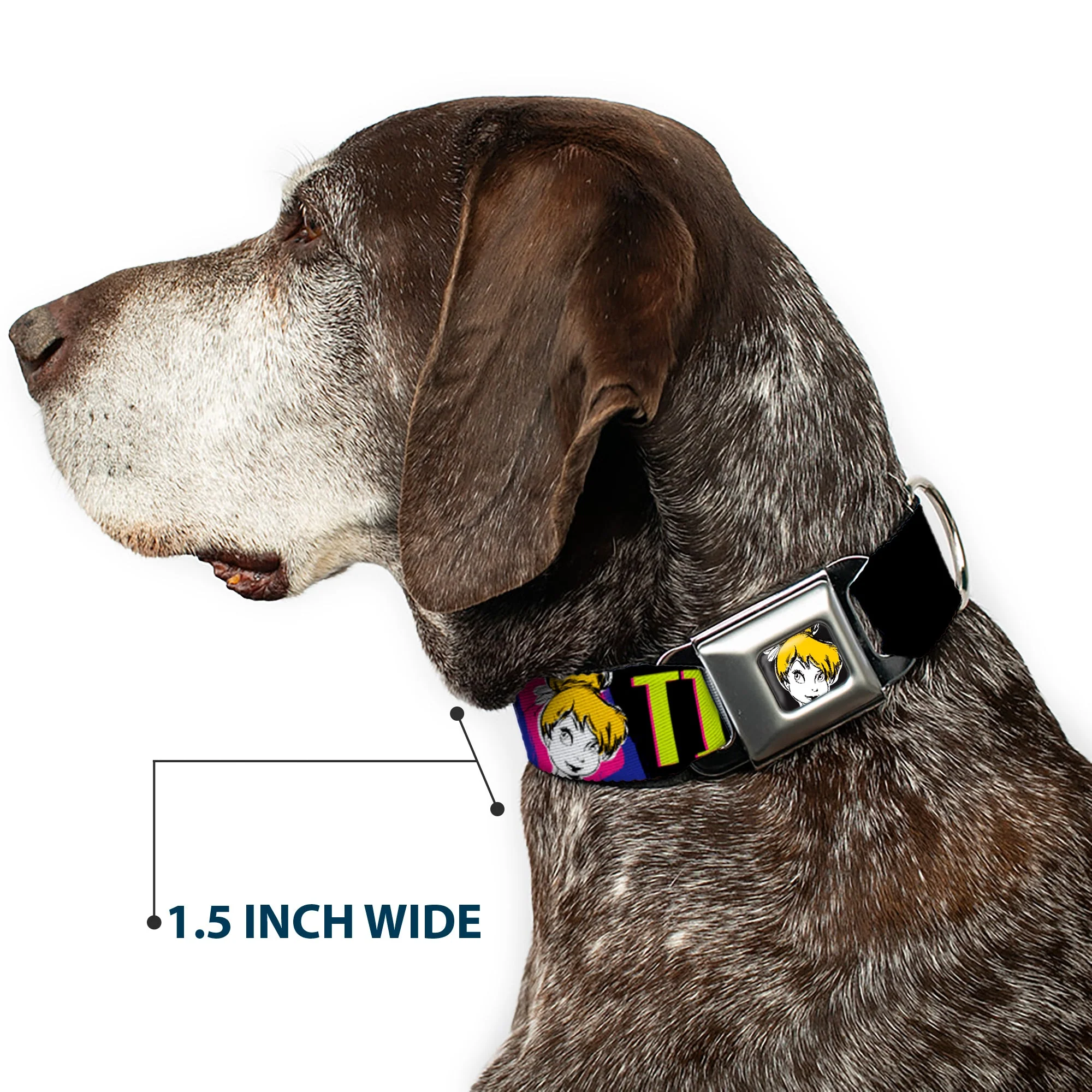 Tink Luxe Full Color Black White Seatbelt Buckle Collar - TINK LUXE Sketch Black/Multi Neon - Image 7