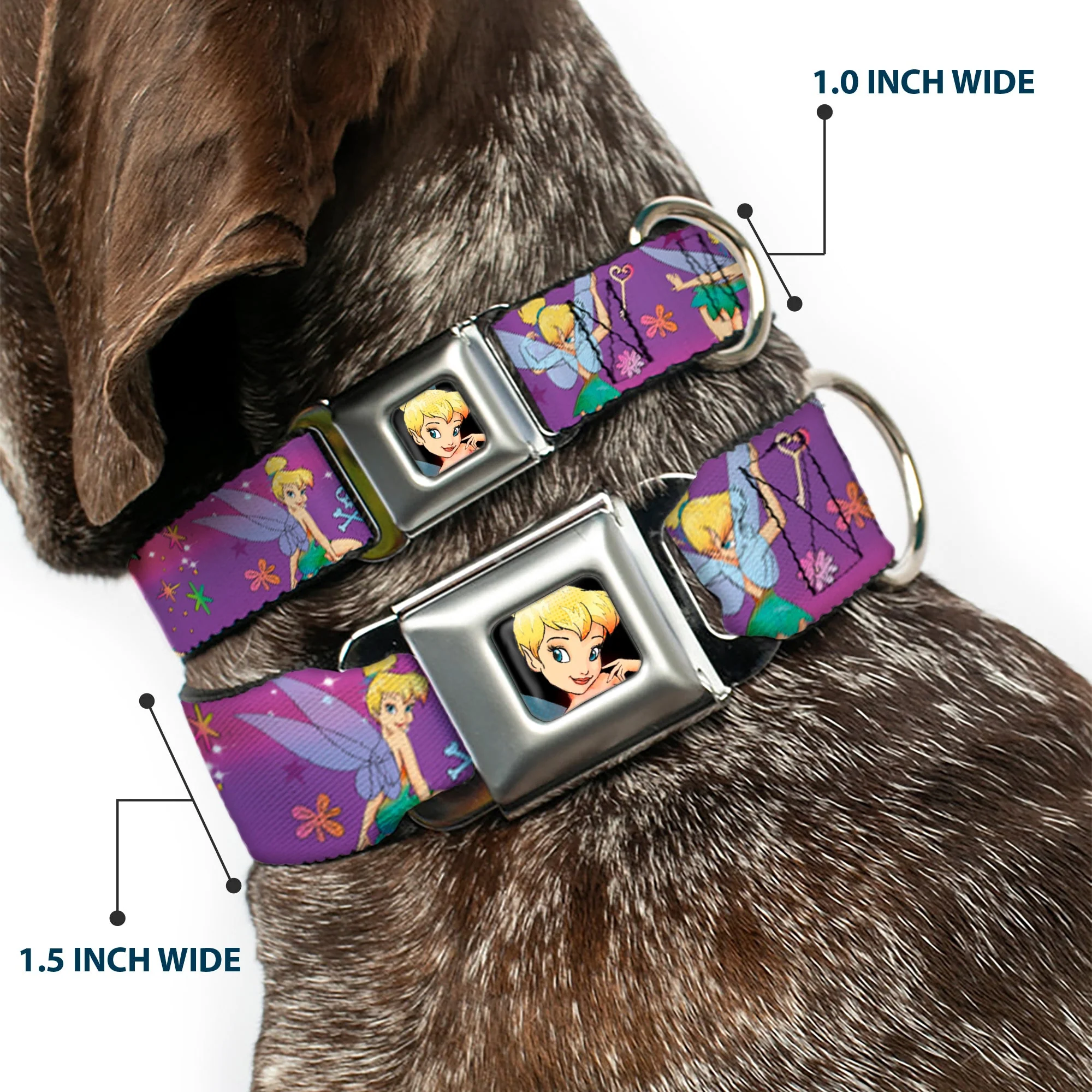 Tinker Bell CLOSE-UP Full Color Seatbelt Buckle Collar - Tinker Bell Poses/Flowers/Stars/Skull Purple - Image 2