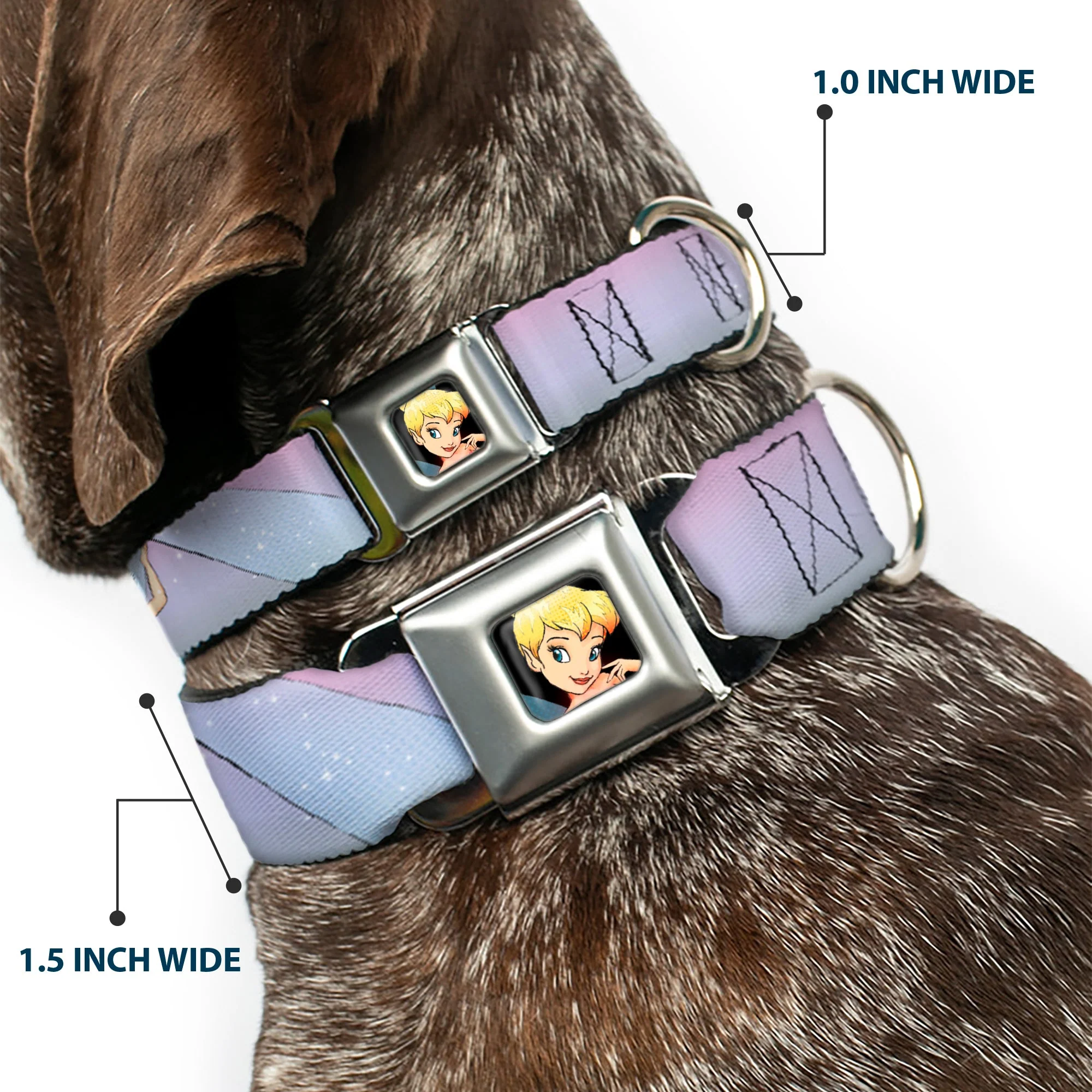 Tinker Bell CLOSE-UP Full Color Seatbelt Buckle Collar - Tinker Bell Poses Purple/Pink Fade - Image 2