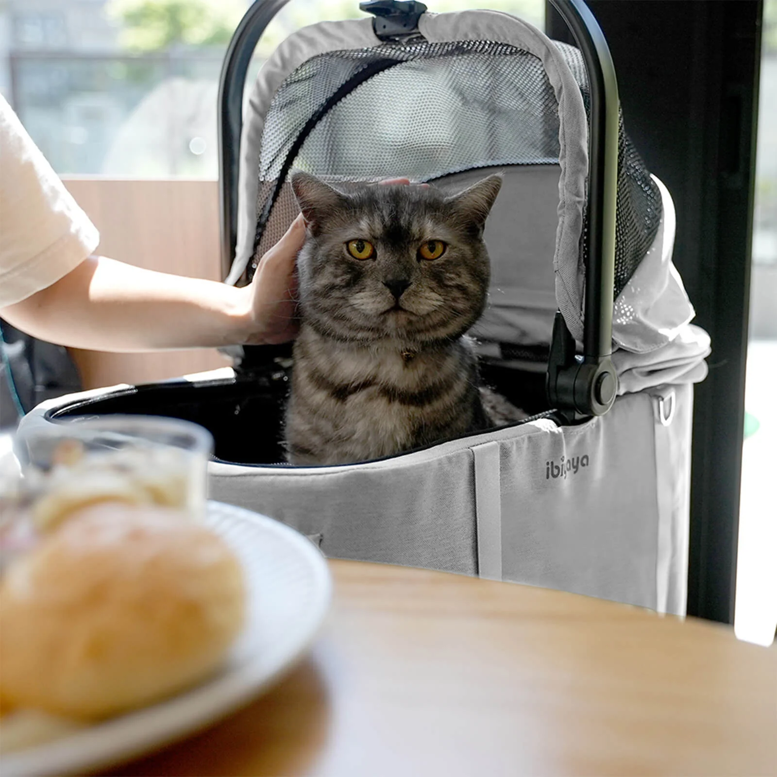 Tinker Small Detachable Pet Stroller – Compact Buggy for Cats & Small Dogs - Image 3