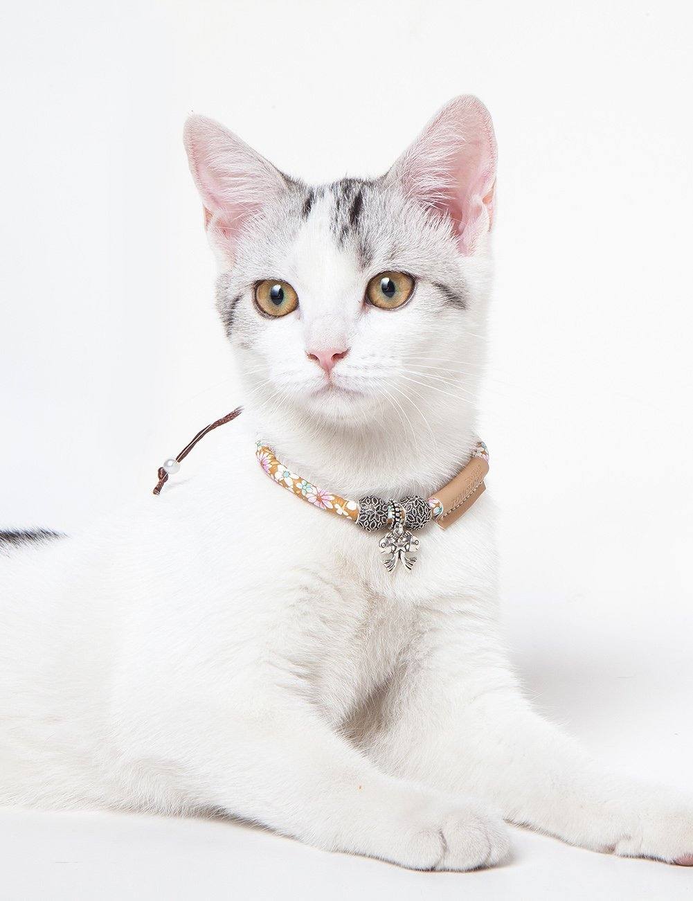 Touchcat Lucky Charms Designer Cable Necklace Cat Collar - Image 2