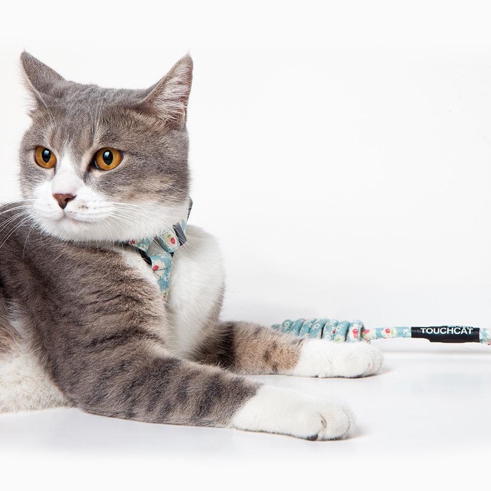 Touchcat Radi-Claw Durable Cable Cat Harness and Leash Combo - Image 6