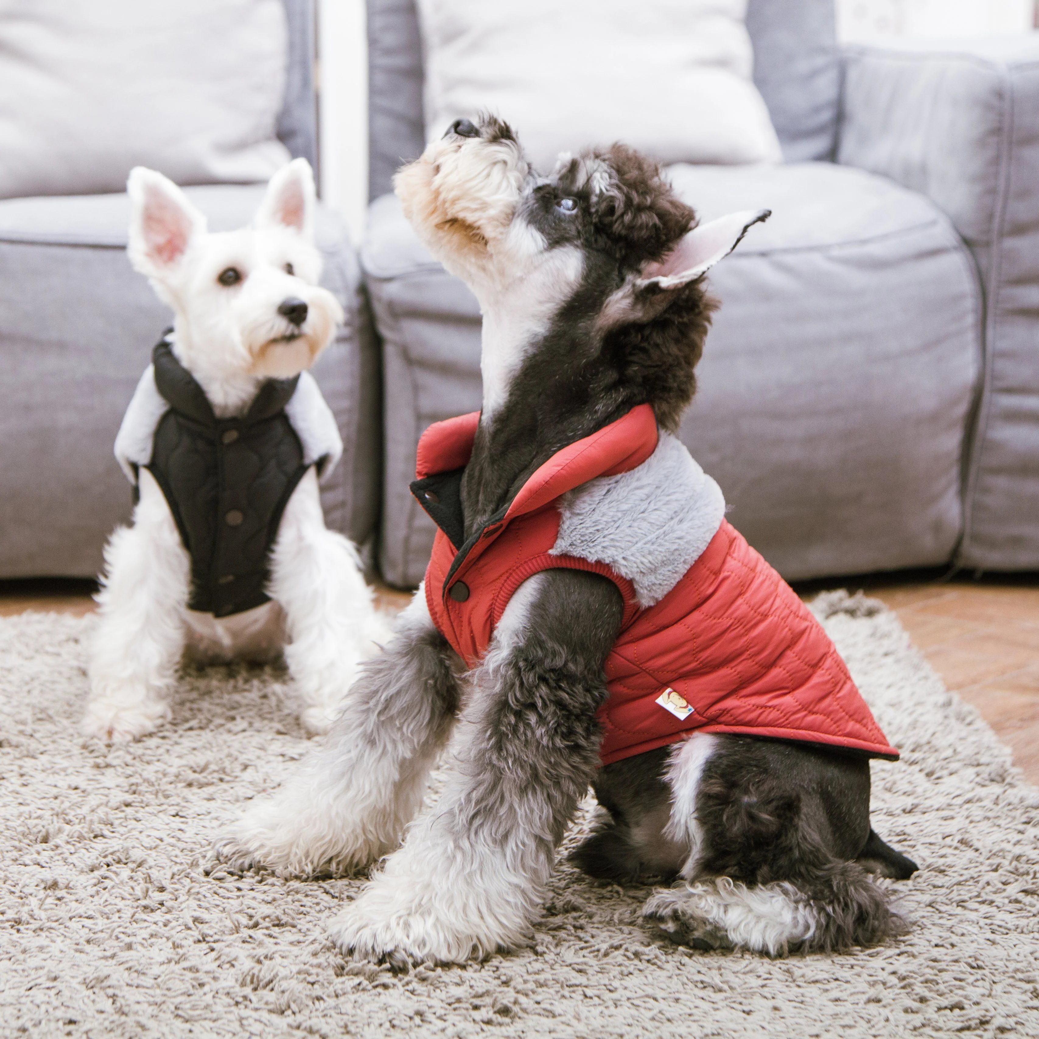 Touchdog Furrost-Bite Fur and Fleece Designer Fashion Dog Jacket - Image 9