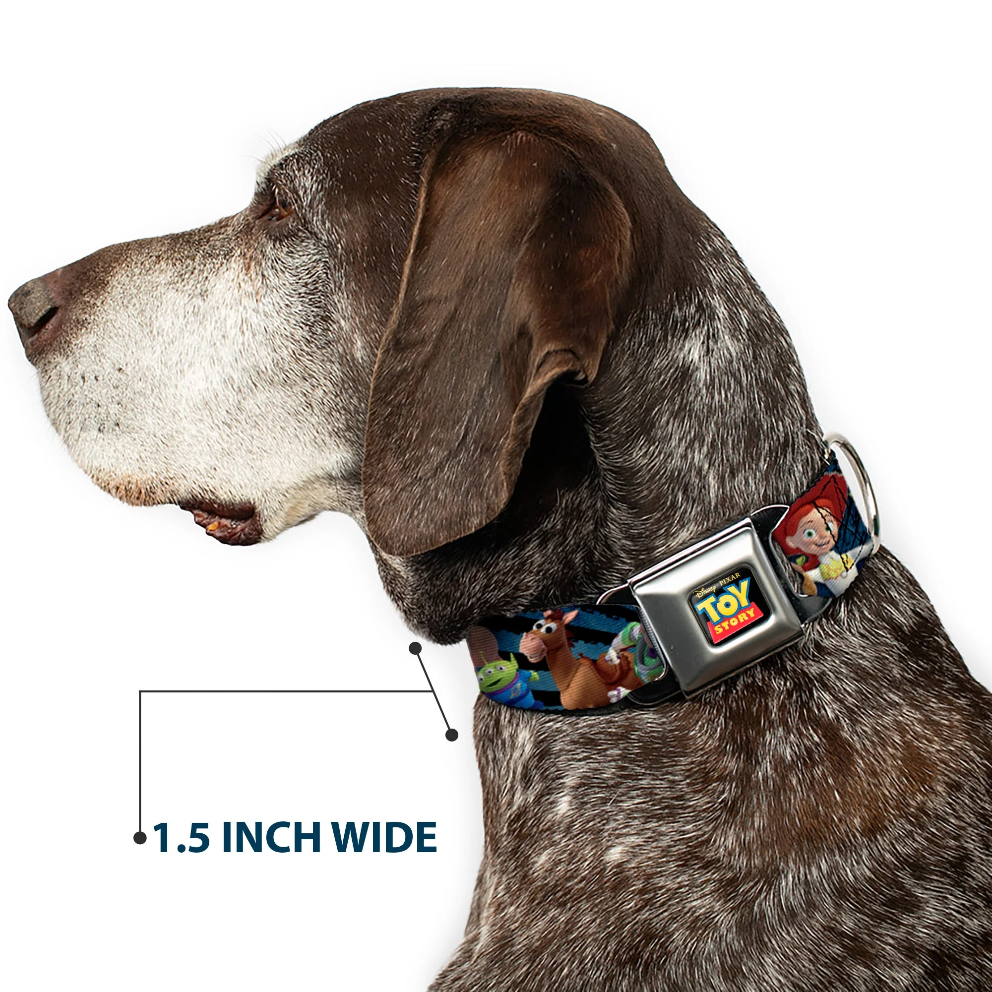 TOY STORY Logo Full Color Black Seatbelt Buckle Collar - Toy Story Characters Running2 Denim Rays - Image 7