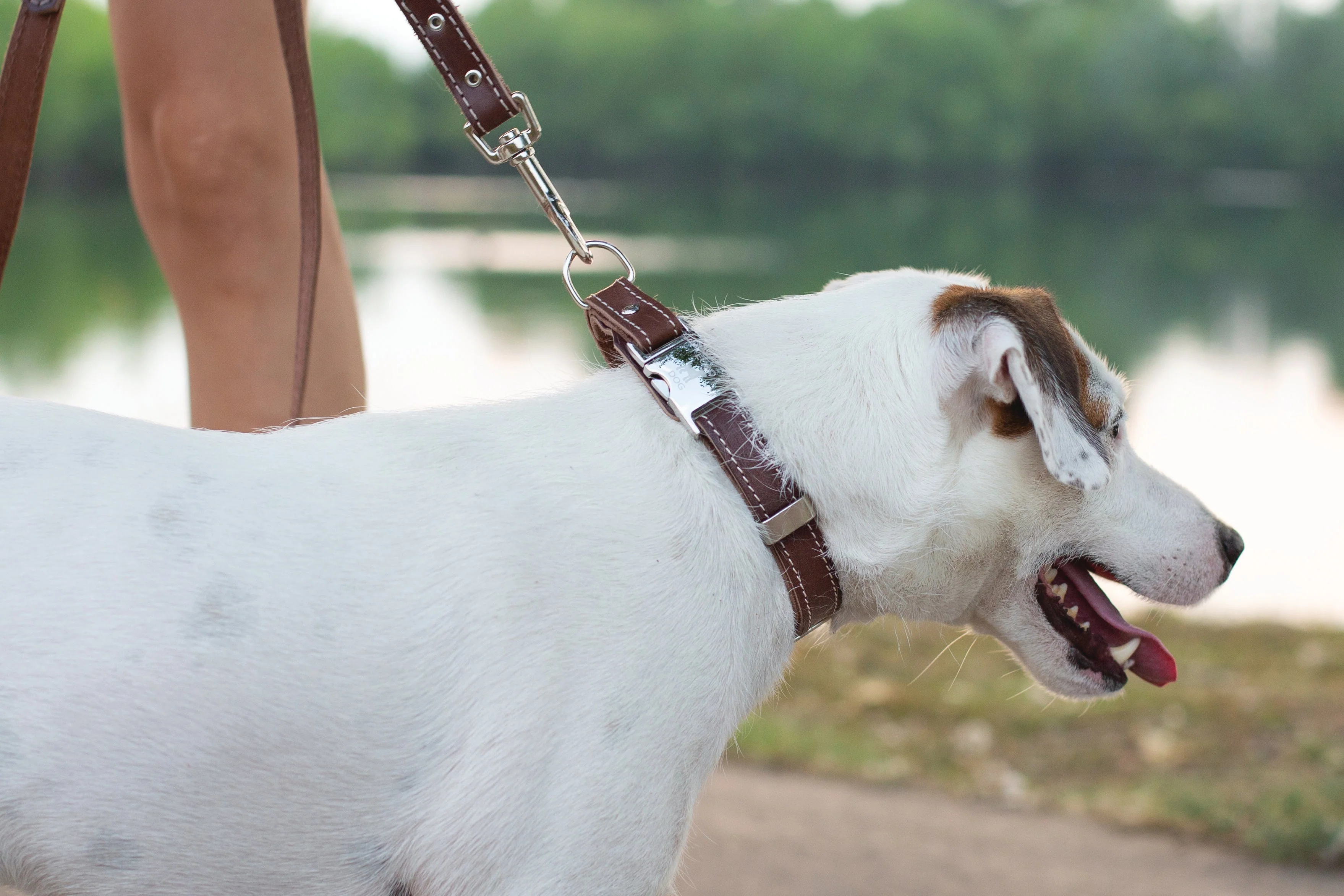 Traditional Chocolate Leather Leash - Image 2