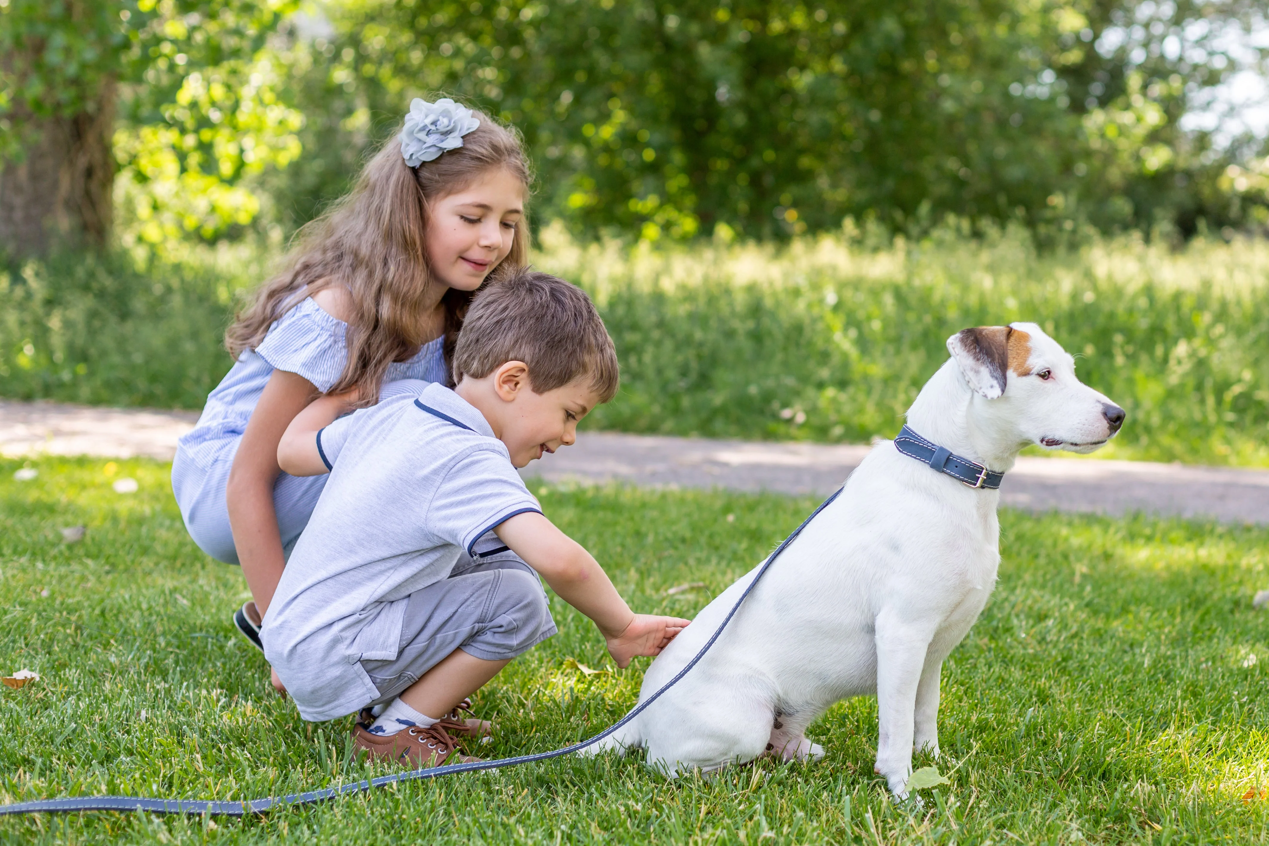 Traditional Style Leather Collar and Leash Set - Image 9