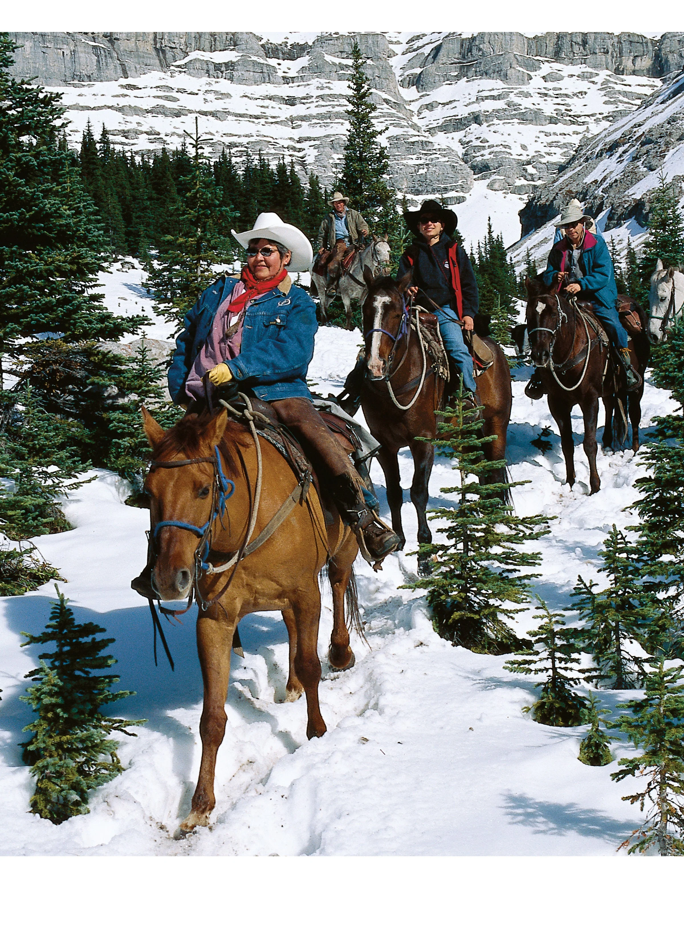 Trail Riding - Image 2