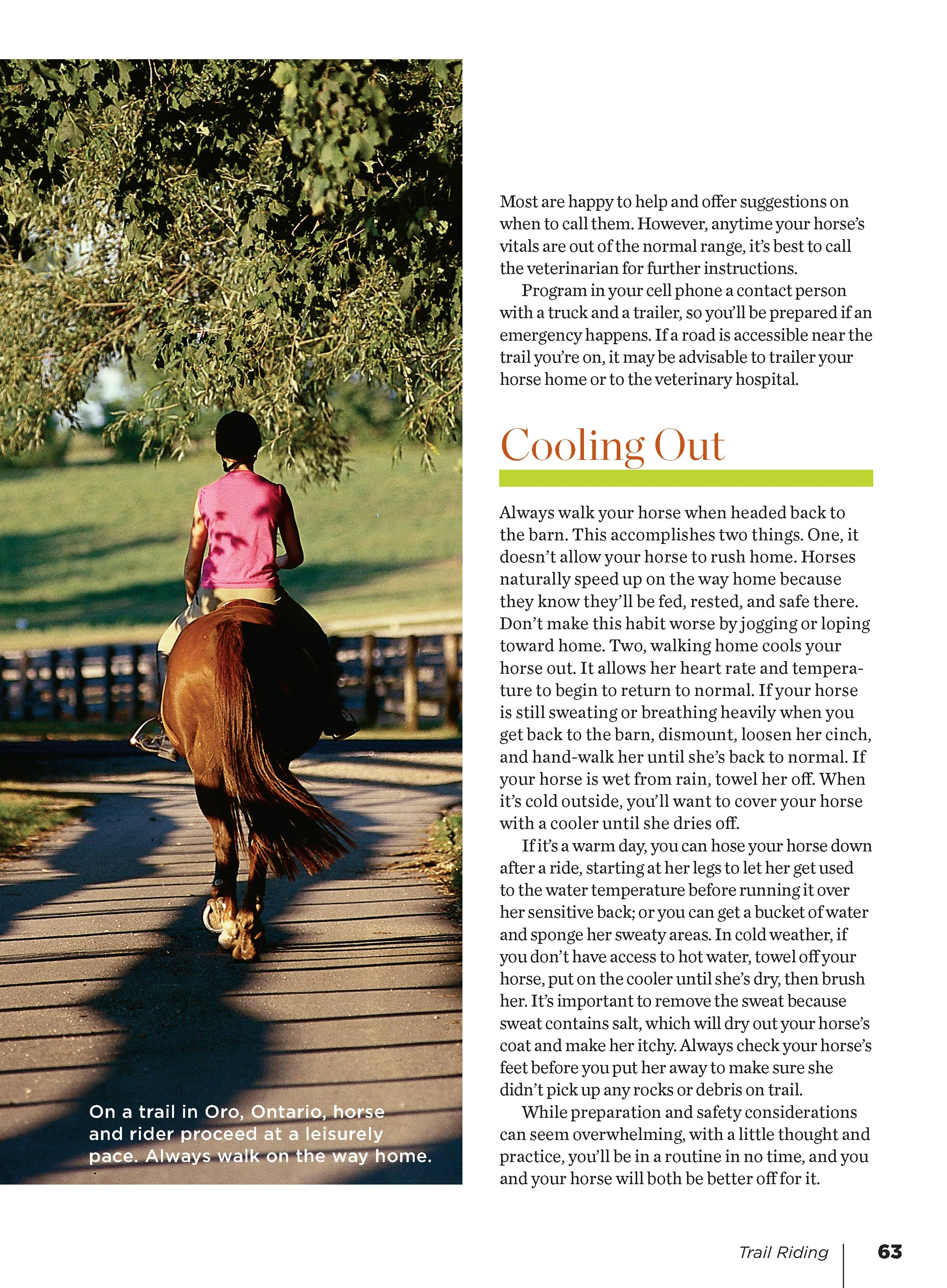 Trail Riding - Image 8