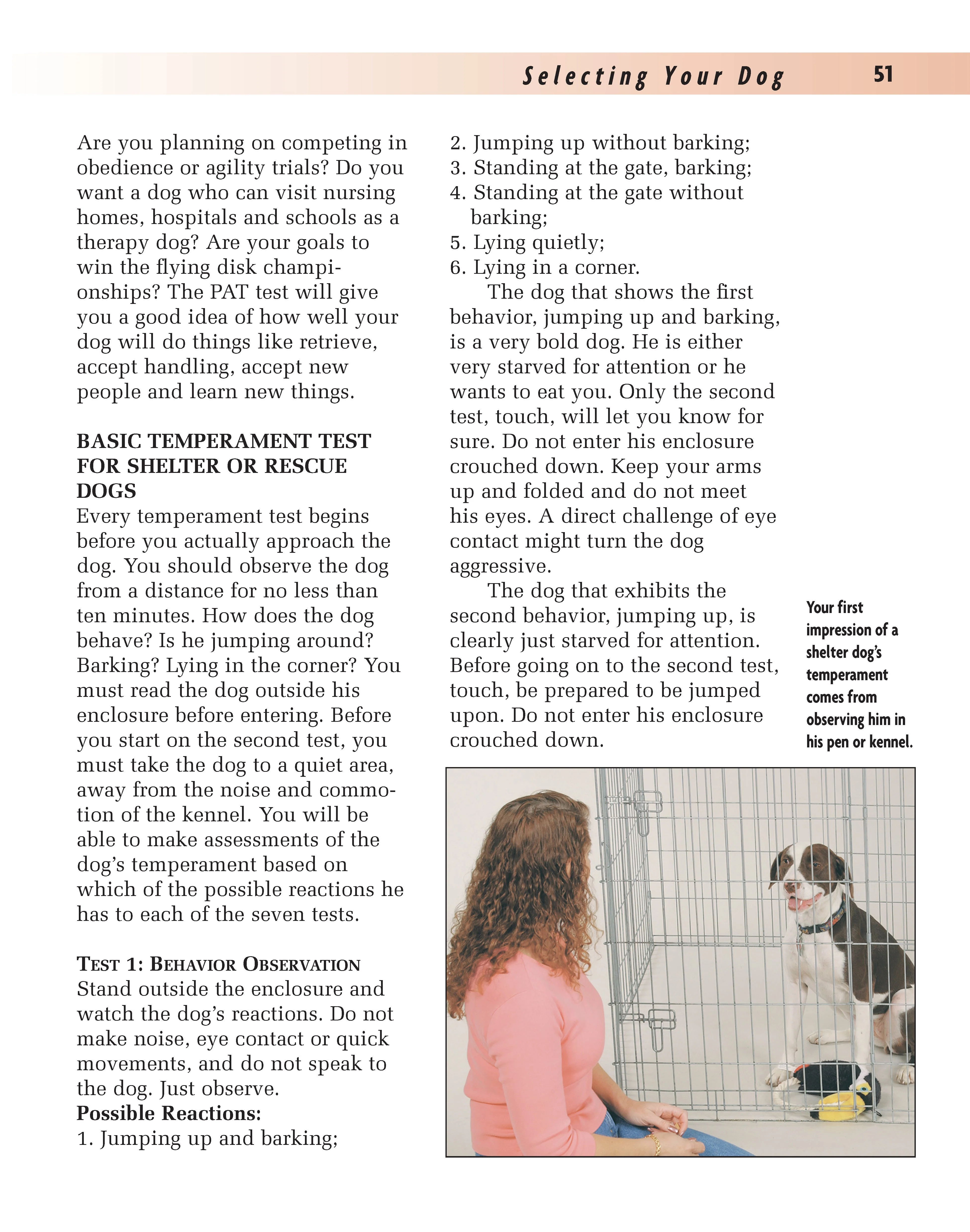Training Your Mixed Breed - Image 3