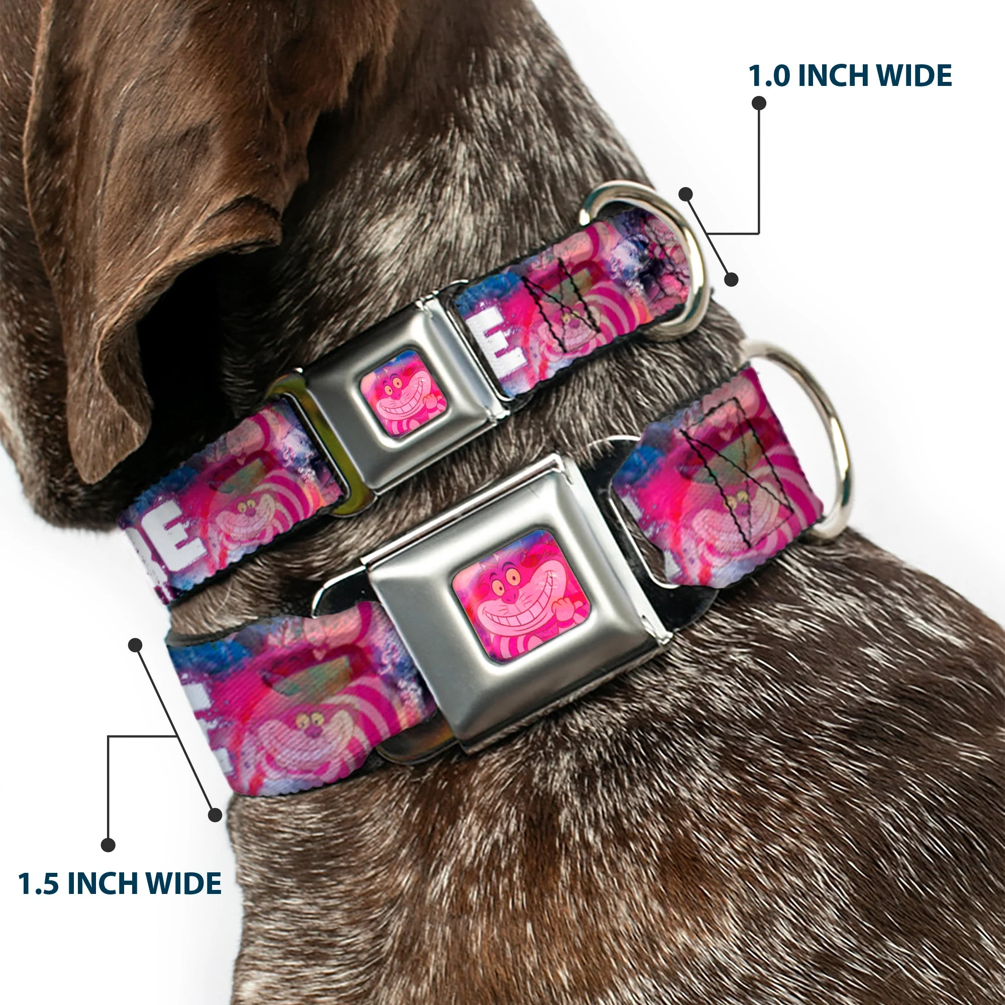 Transparent Cheshire Cat Face Full Color Seatbelt Buckle Collar - Transparent Cheshire Cat Poses WERE ALL MAD HERE - Image 2