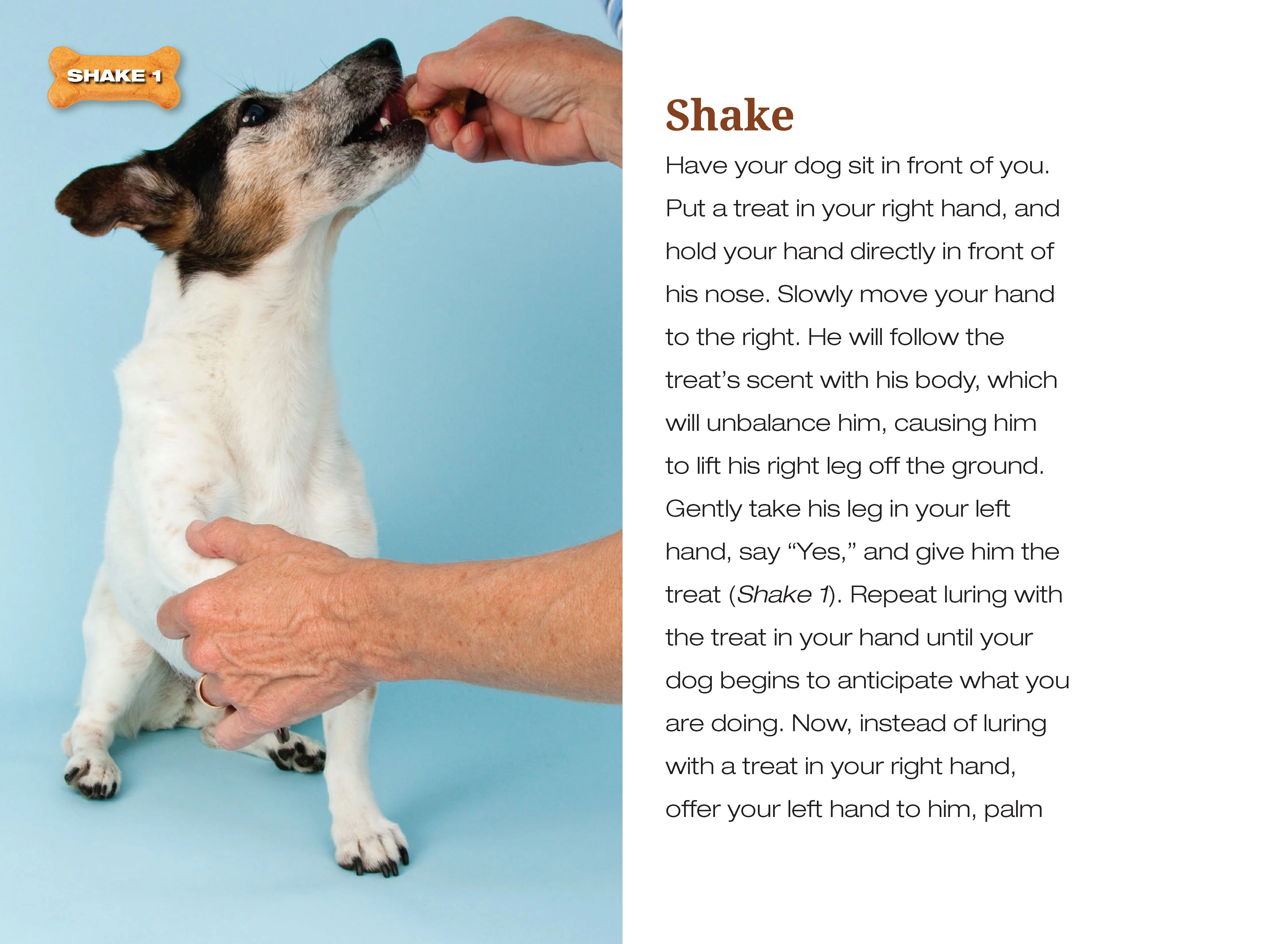 Tricks for Treats - Image 2