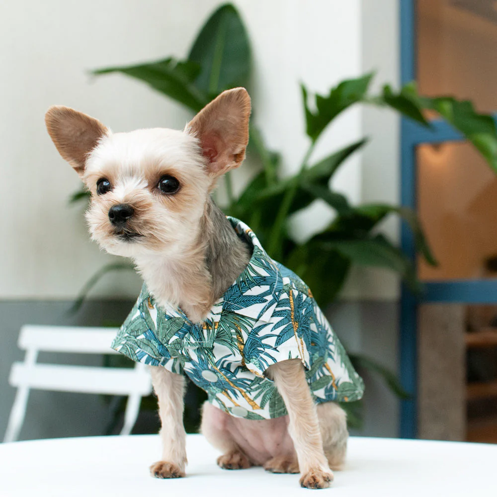 Tropical Leaf Shirt - Image 9