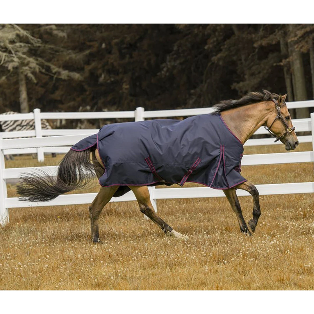 TuffRider 600 D Comfy Winter Ripstop Turnout Blanket Medium Weight 200 GSM Standard Neck - Image 5