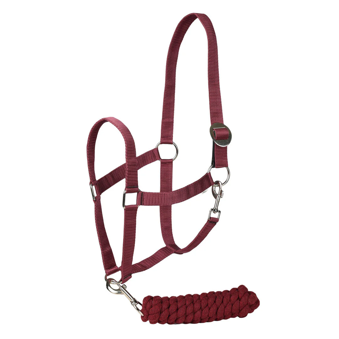 TuffRider Halter And Lead Rope Set With Breakaway Leather - Image 2