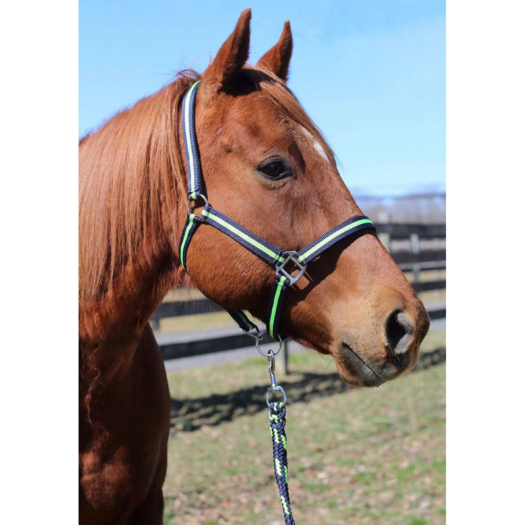 TuffRider Nylon Breakaway Halter & Lead Rope Set