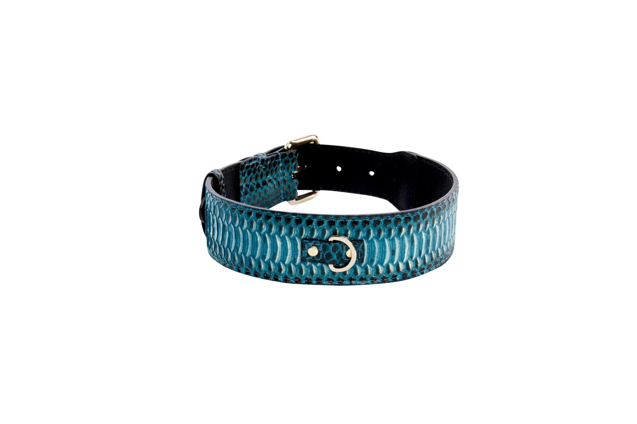 Turquoise, Black Snake Classic Collar With Gold Classic Hardware - Image 3