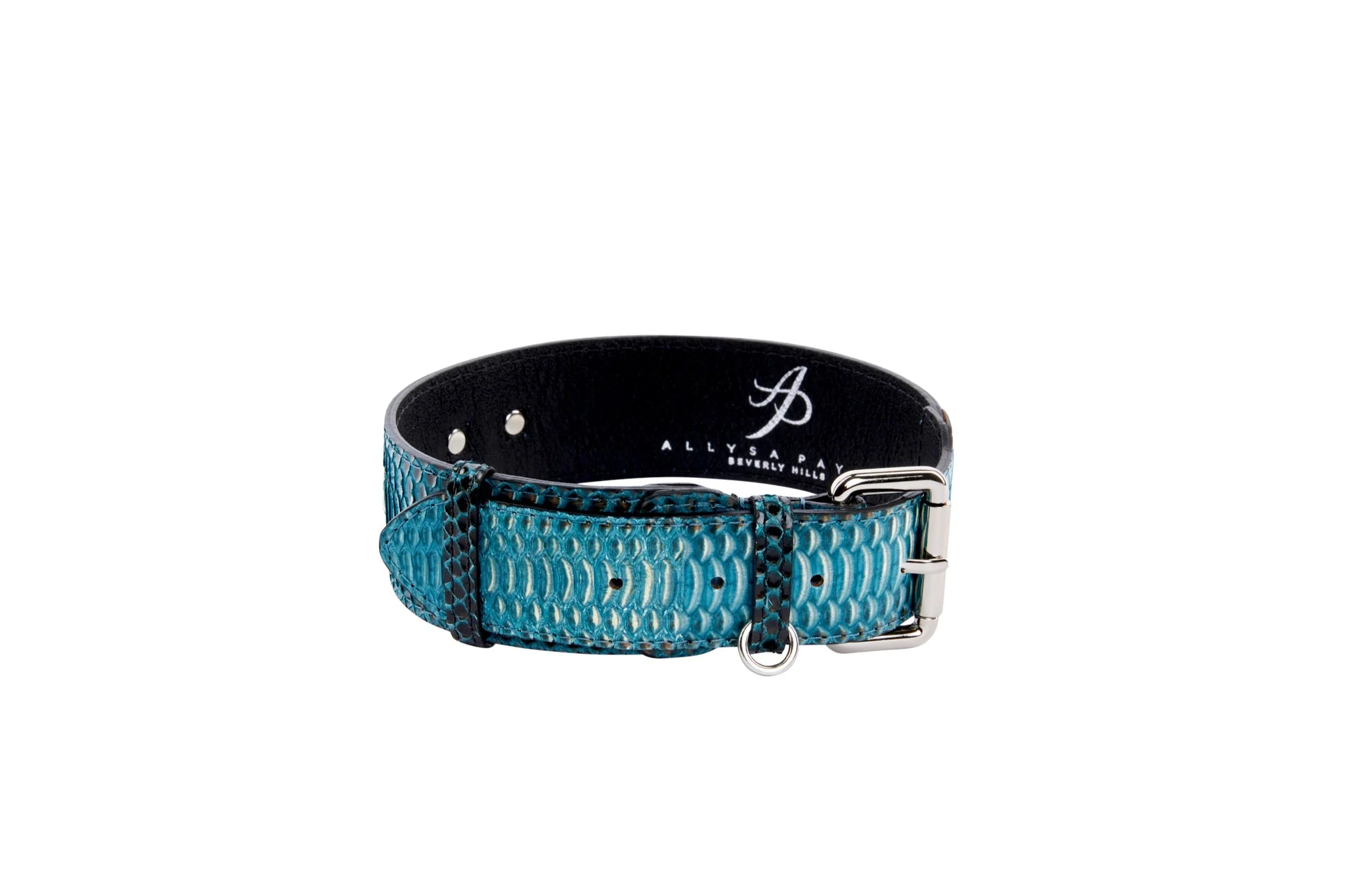 Turquoise, Black Snake Classic Collar With Silver Classic Hardware - Image 3
