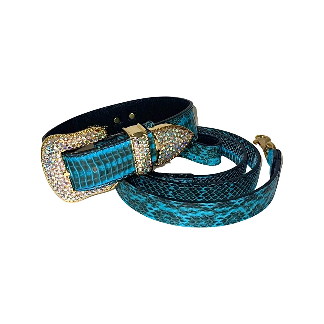 Turquoise & Black Swarovski Crystal Hardware Snake Collar & Leash Set - Image 2