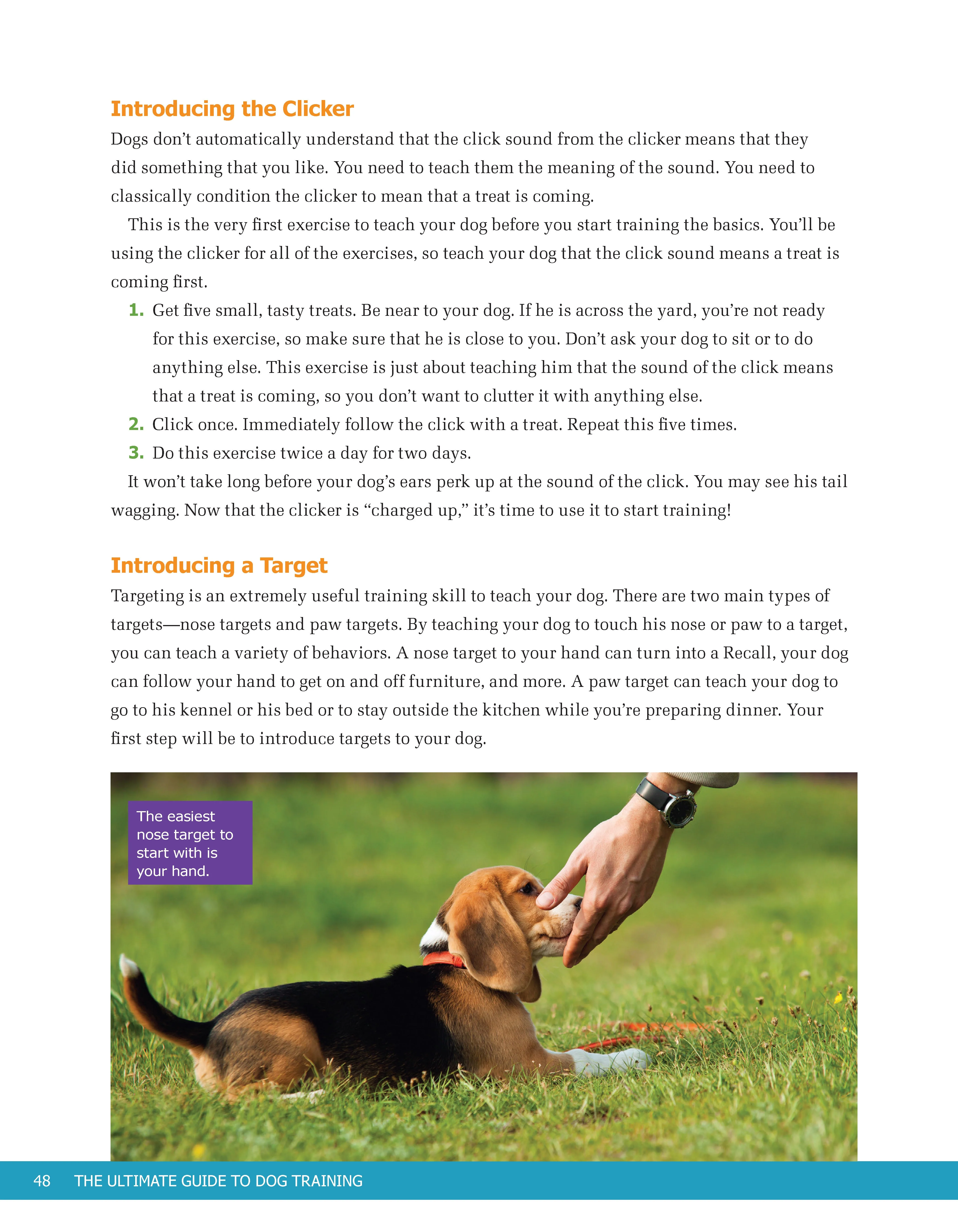 Ultimate Guide to Dog Training - Image 7