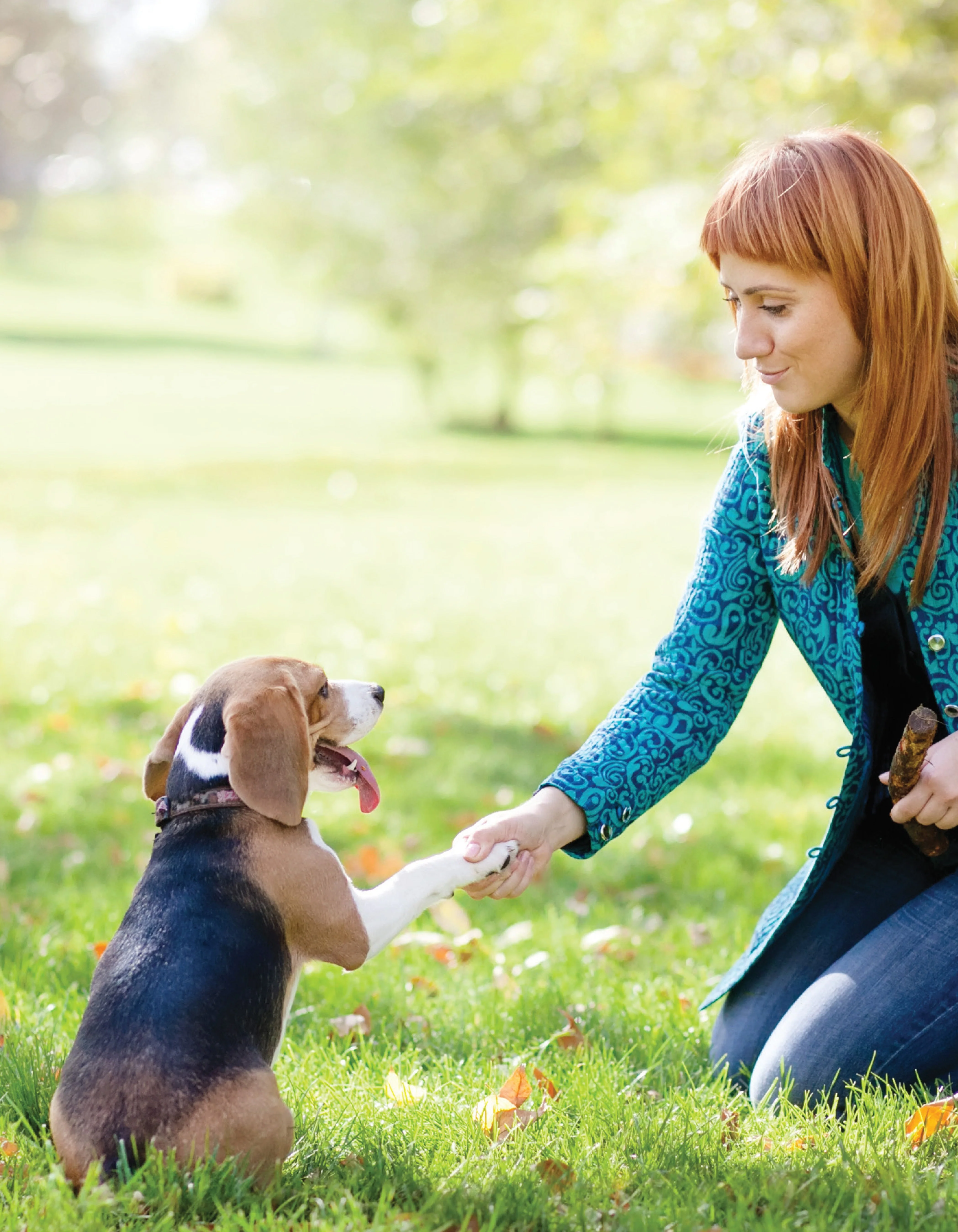Ultimate Guide to Dog Training - Image 2