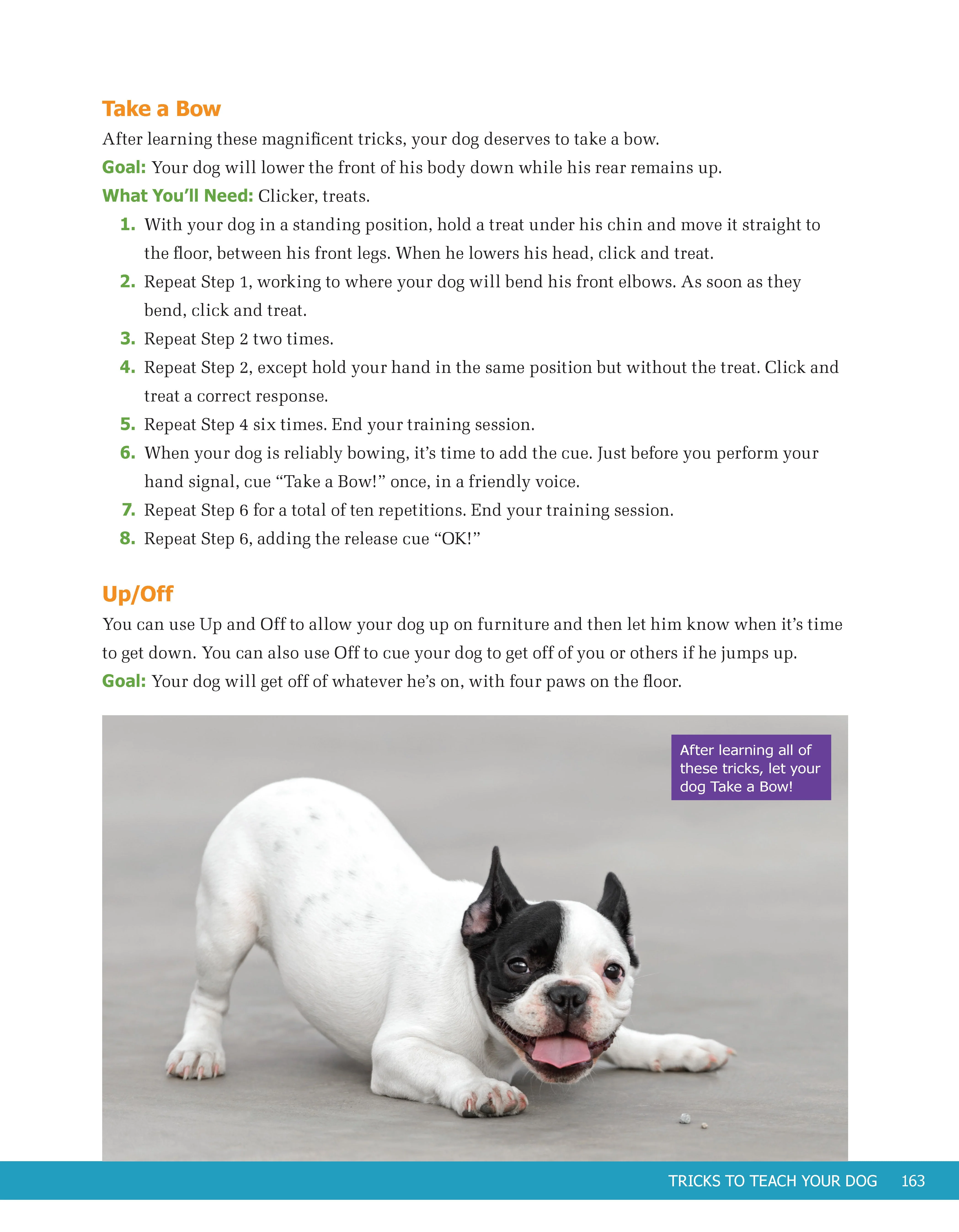Ultimate Guide to Dog Training - Image 5