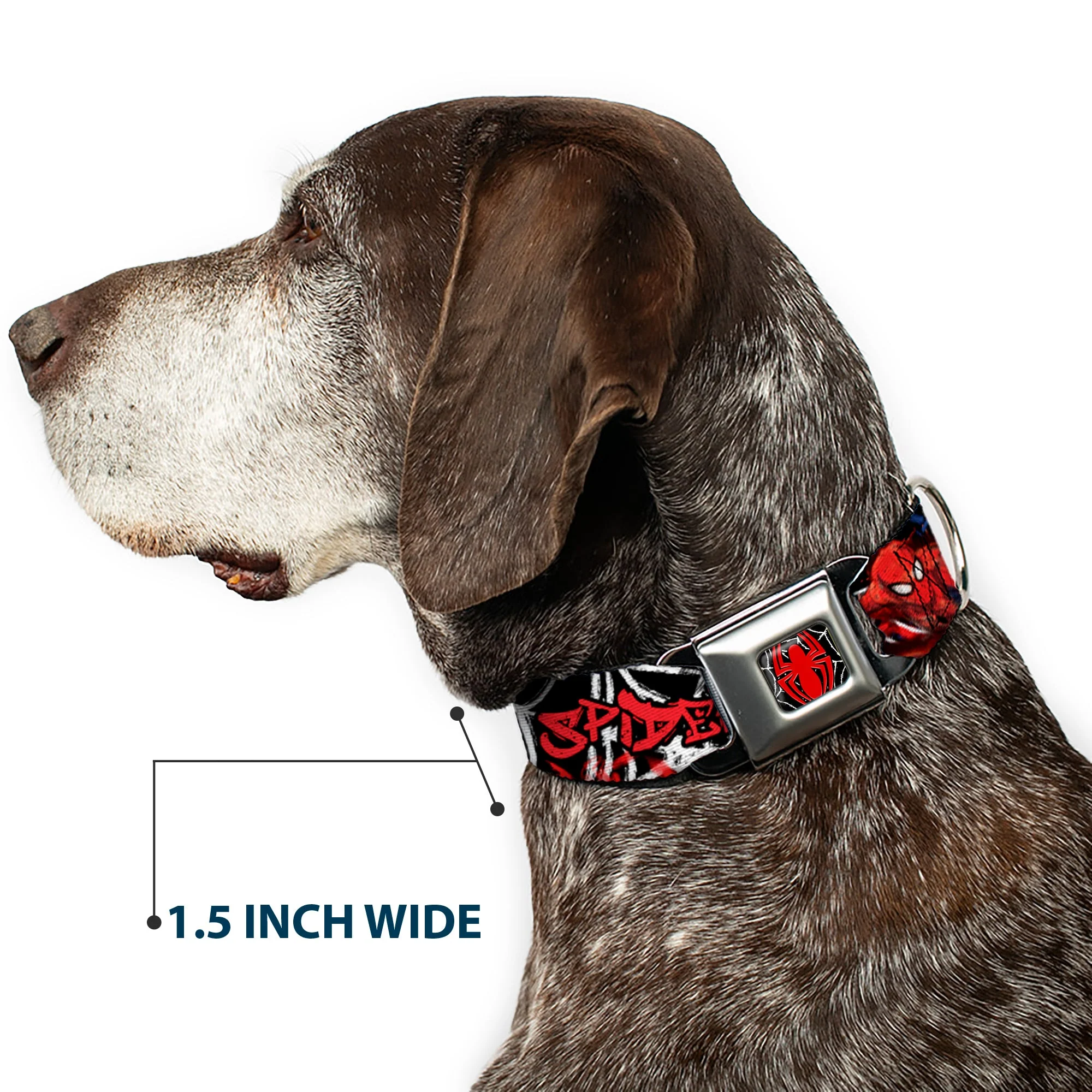 ULTIMATE SPIDER-MAN Spider Logo2 Spider Web Full Color Black White Red Seatbelt Buckle Collar - SPIDER-MAN/3-Poses/Spider Web Sketch Black/White/Red - Image 7