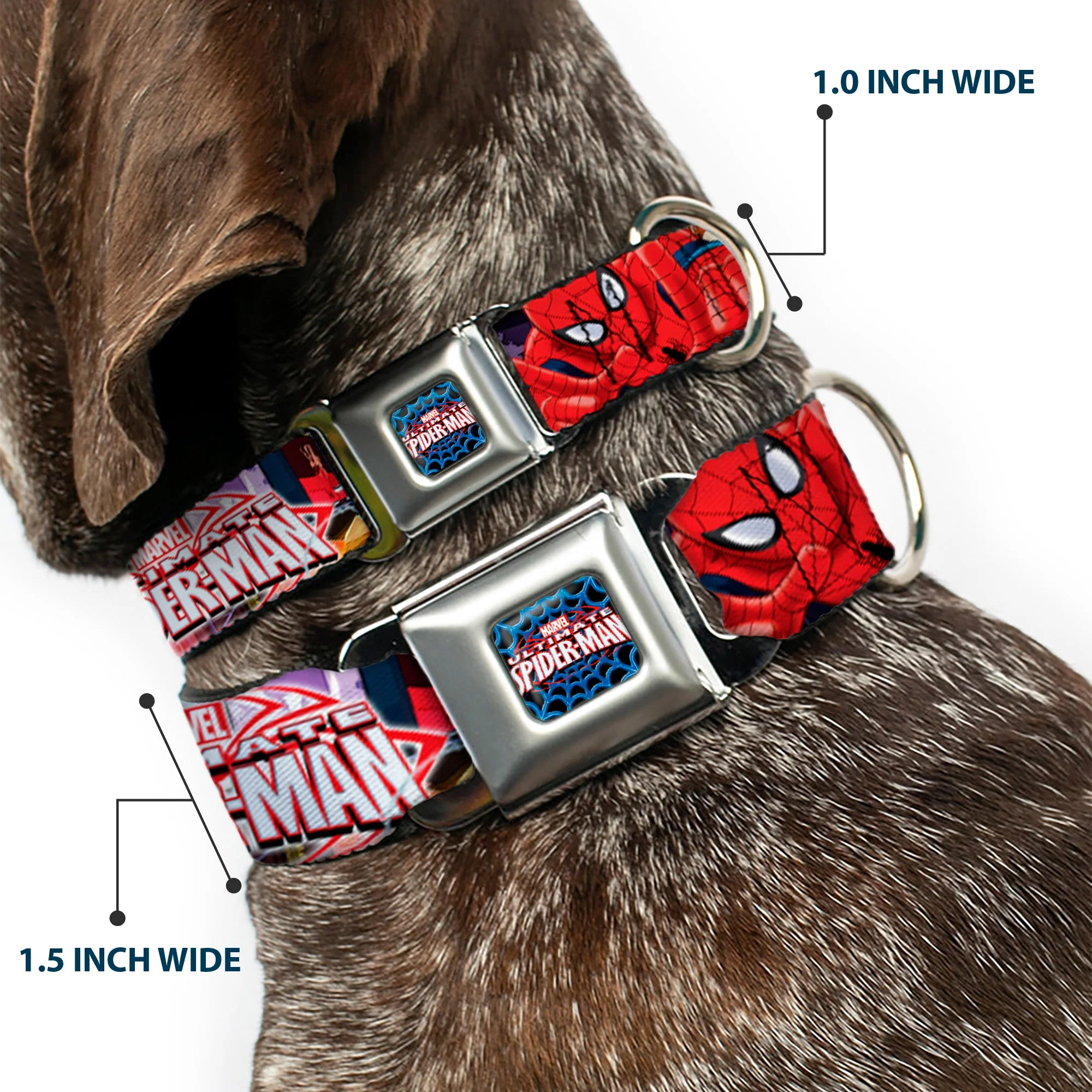 ULTIMATE SPIDER-MAN Ultimate Spider-Man Web Full Color Seatbelt Buckle Collar - THE ULTIMATE SPIDER-MAN Swinging City Poses - Image 2