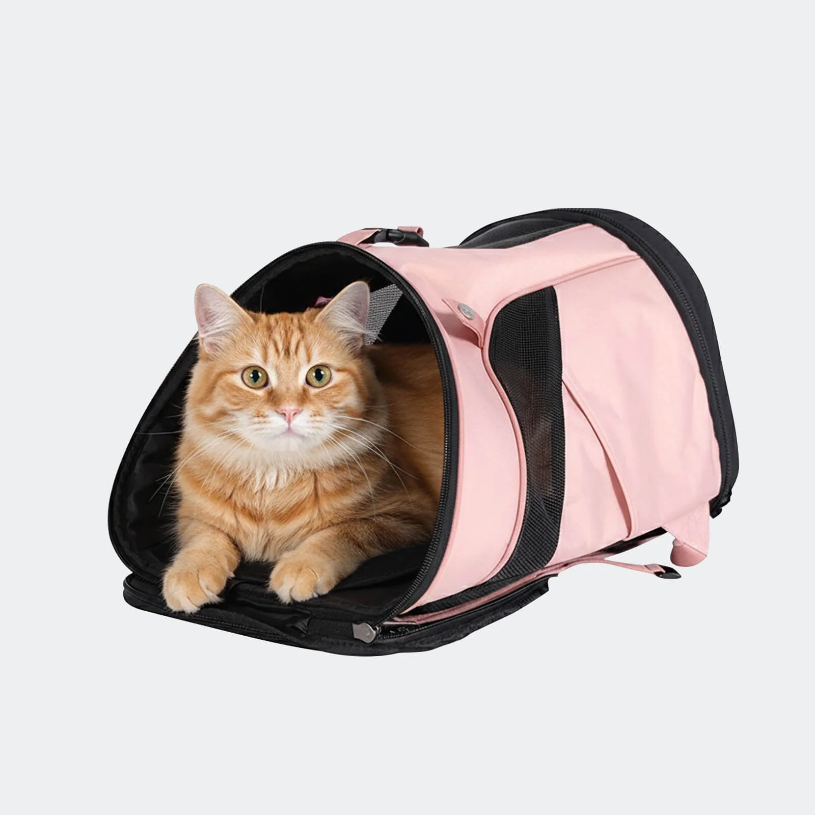 Ultralight Pro Pet Backpack Carrier, Front-Facing Cat-Dog Travel Bag - Image 13