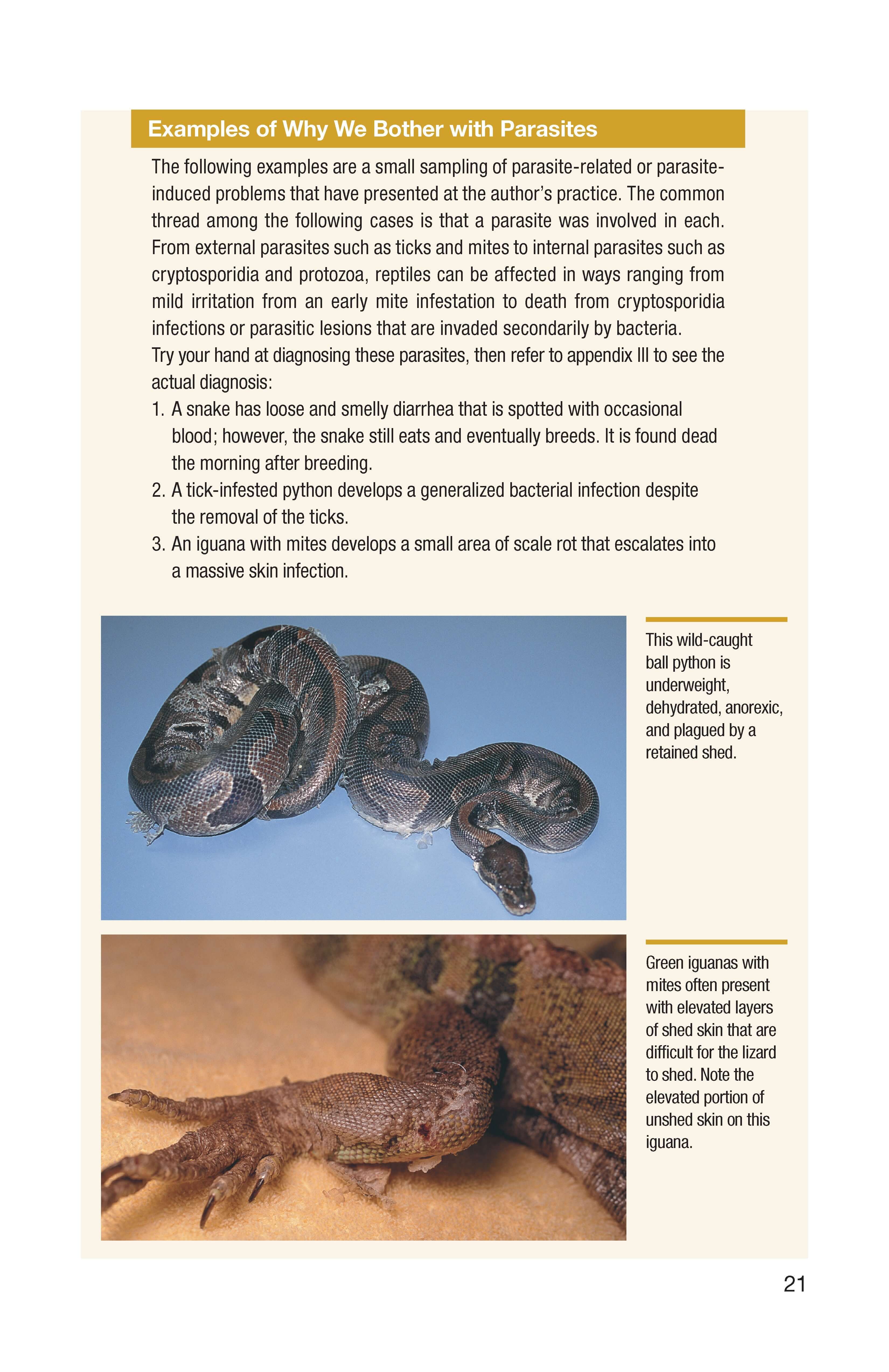 Understanding Reptile Parasites (Advanced Vivarium Systems) - Image 3