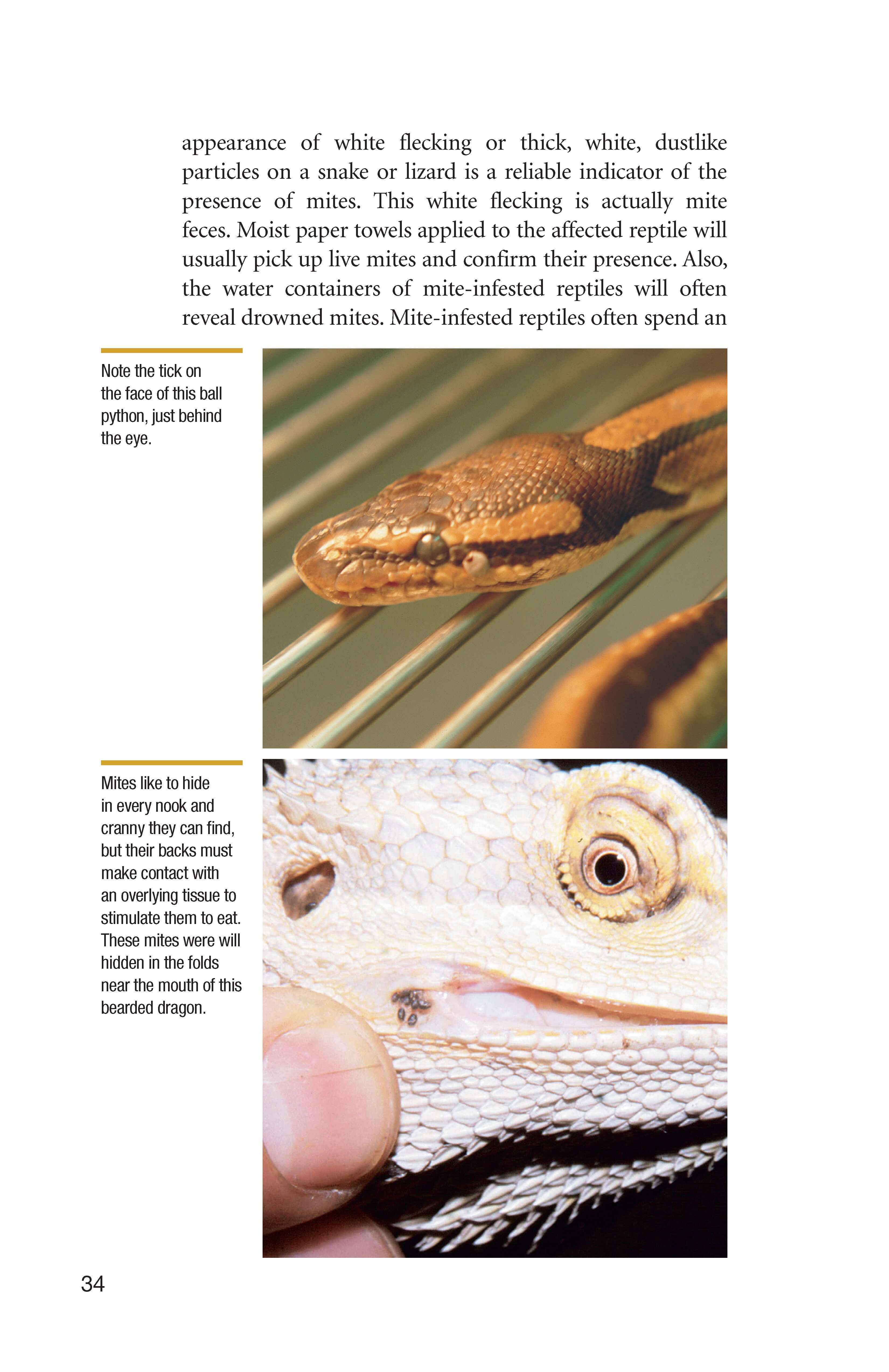 Understanding Reptile Parasites (Advanced Vivarium Systems) - Image 4