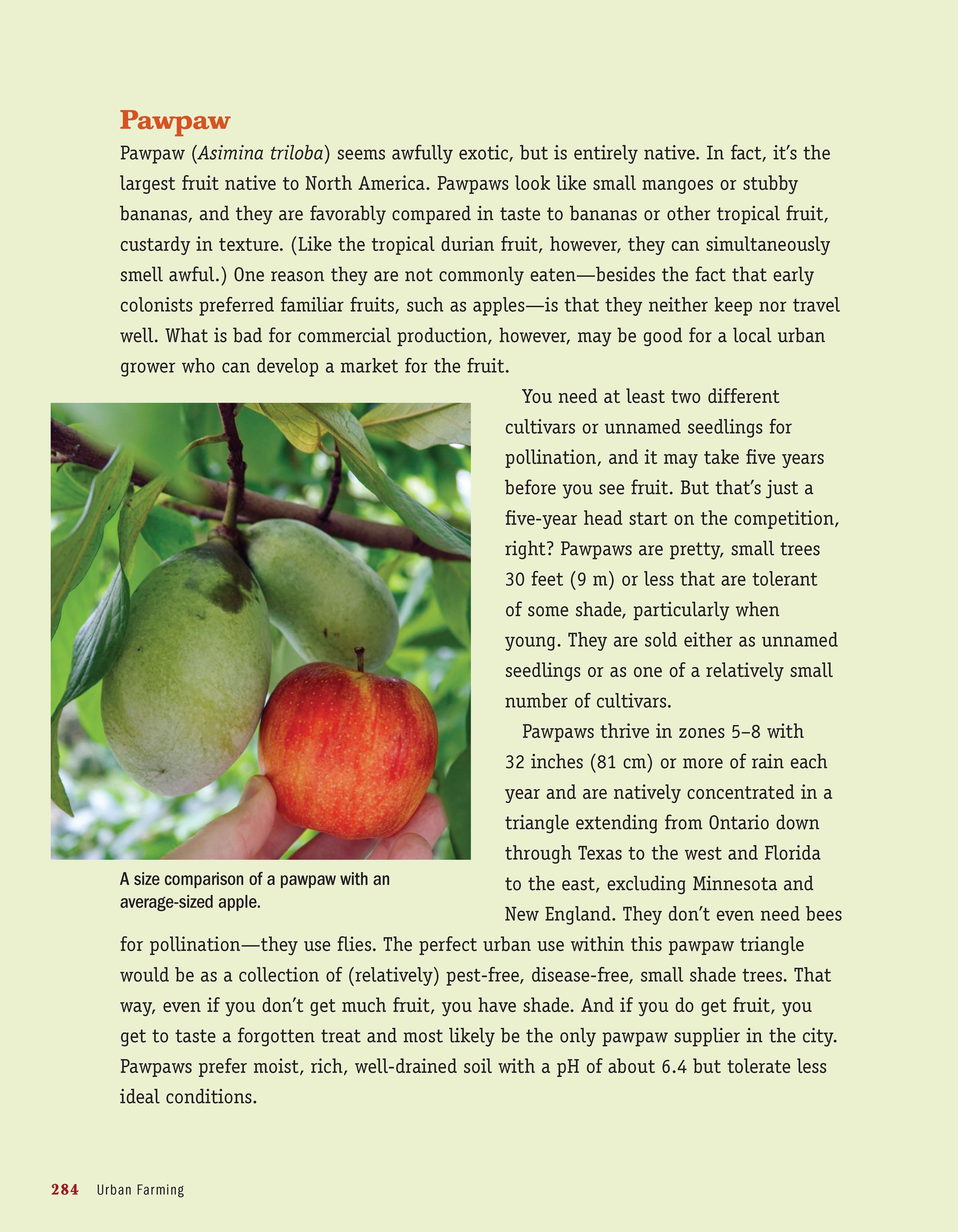 Urban Farming 2nd Ed - Image 7