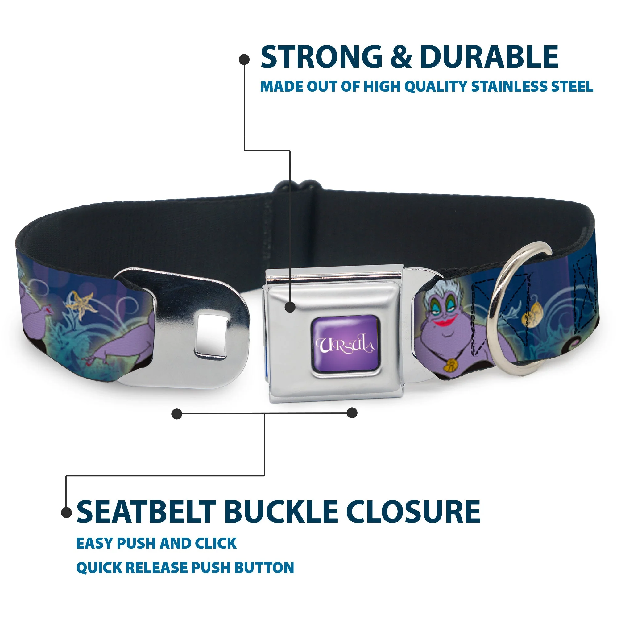 URSULA Full Color Purple-Fade/White Seatbelt Buckle Collar - Ursula 4-Poses/Shells/Ivy/Bubbles Purples/Blues - Image 4