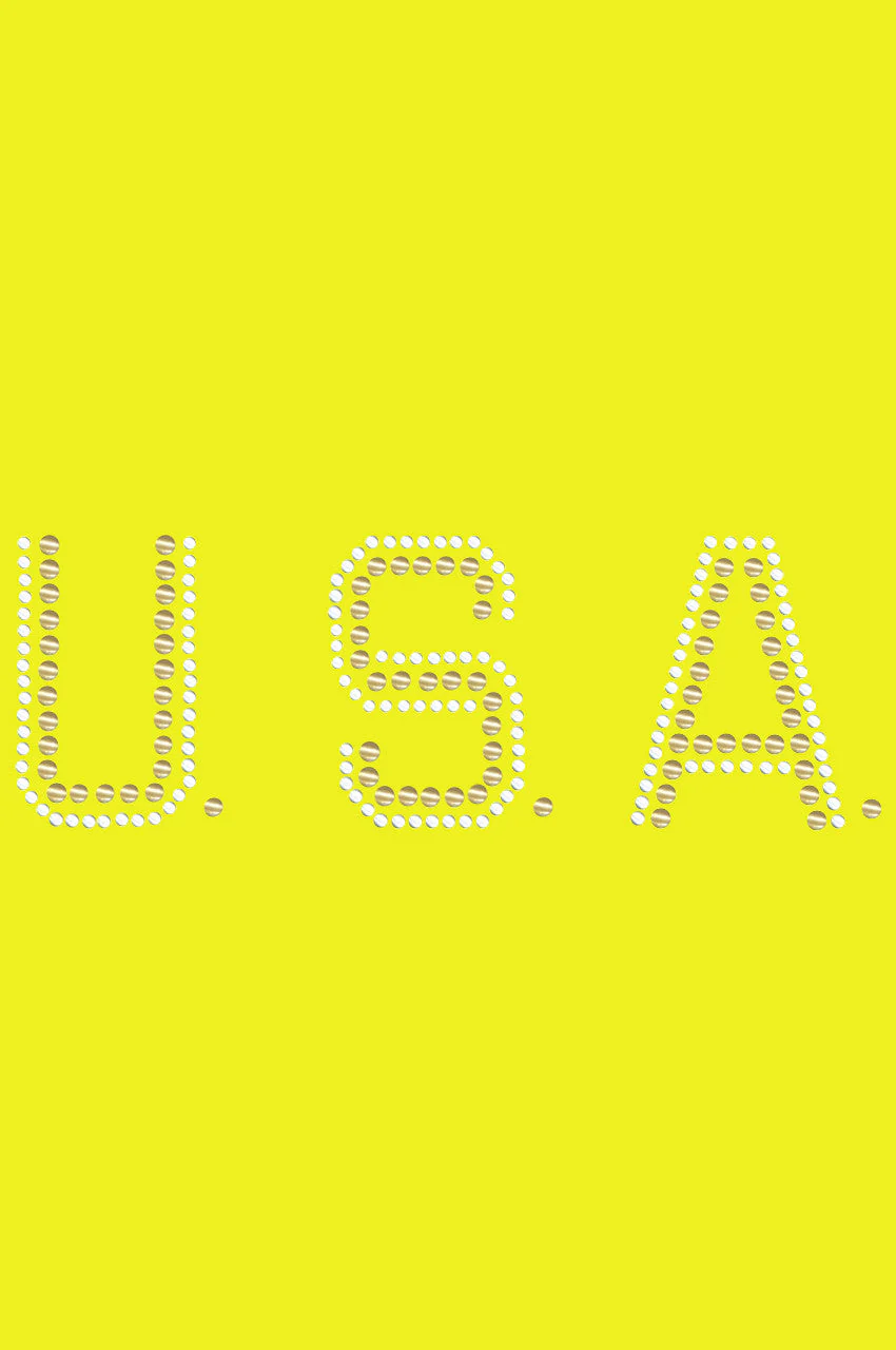 USA (Gold & Silver Nailheads) - Bandanna - Image 11