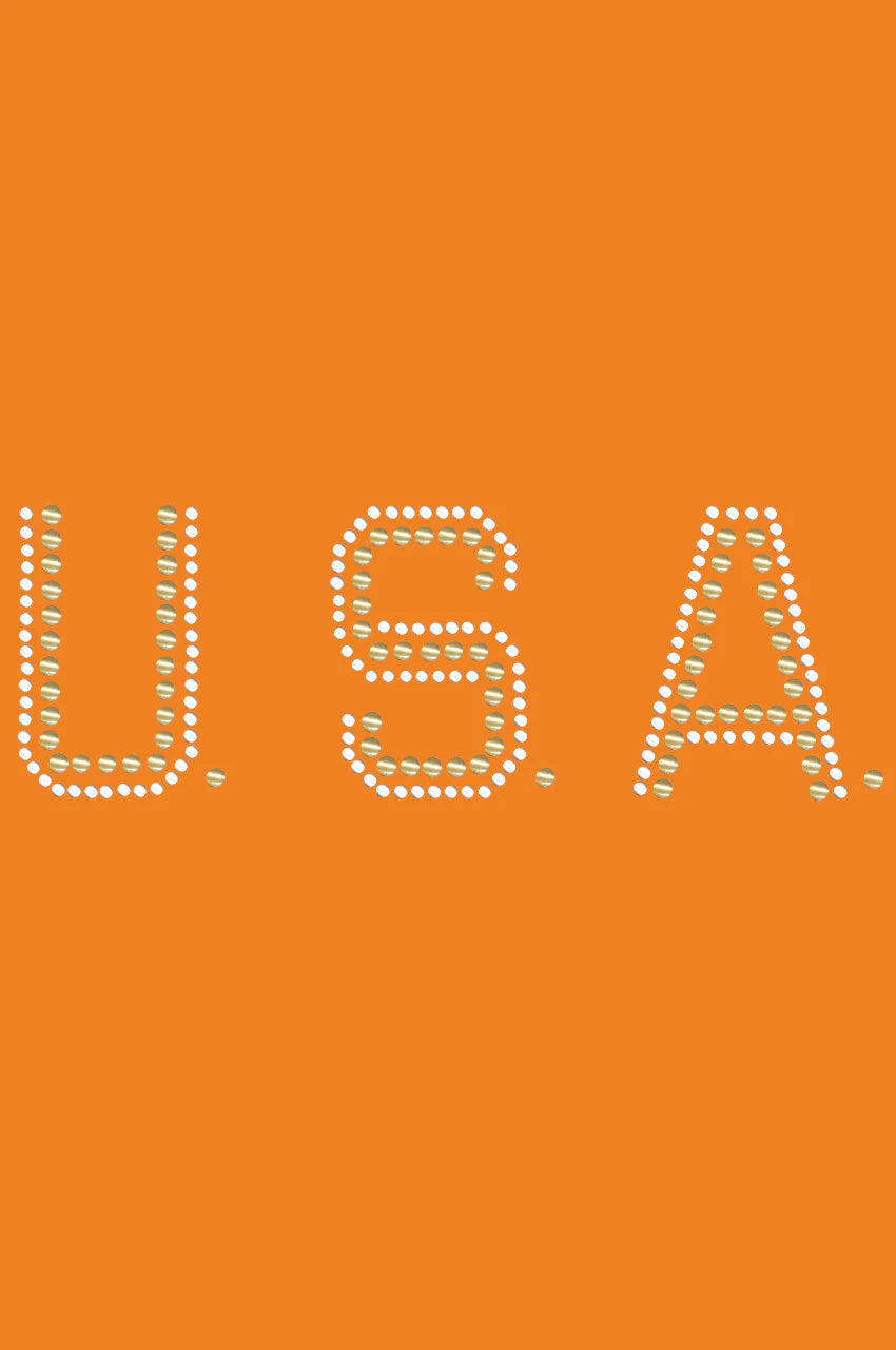 USA (Gold & Silver Nailheads) - Bandanna - Image 9
