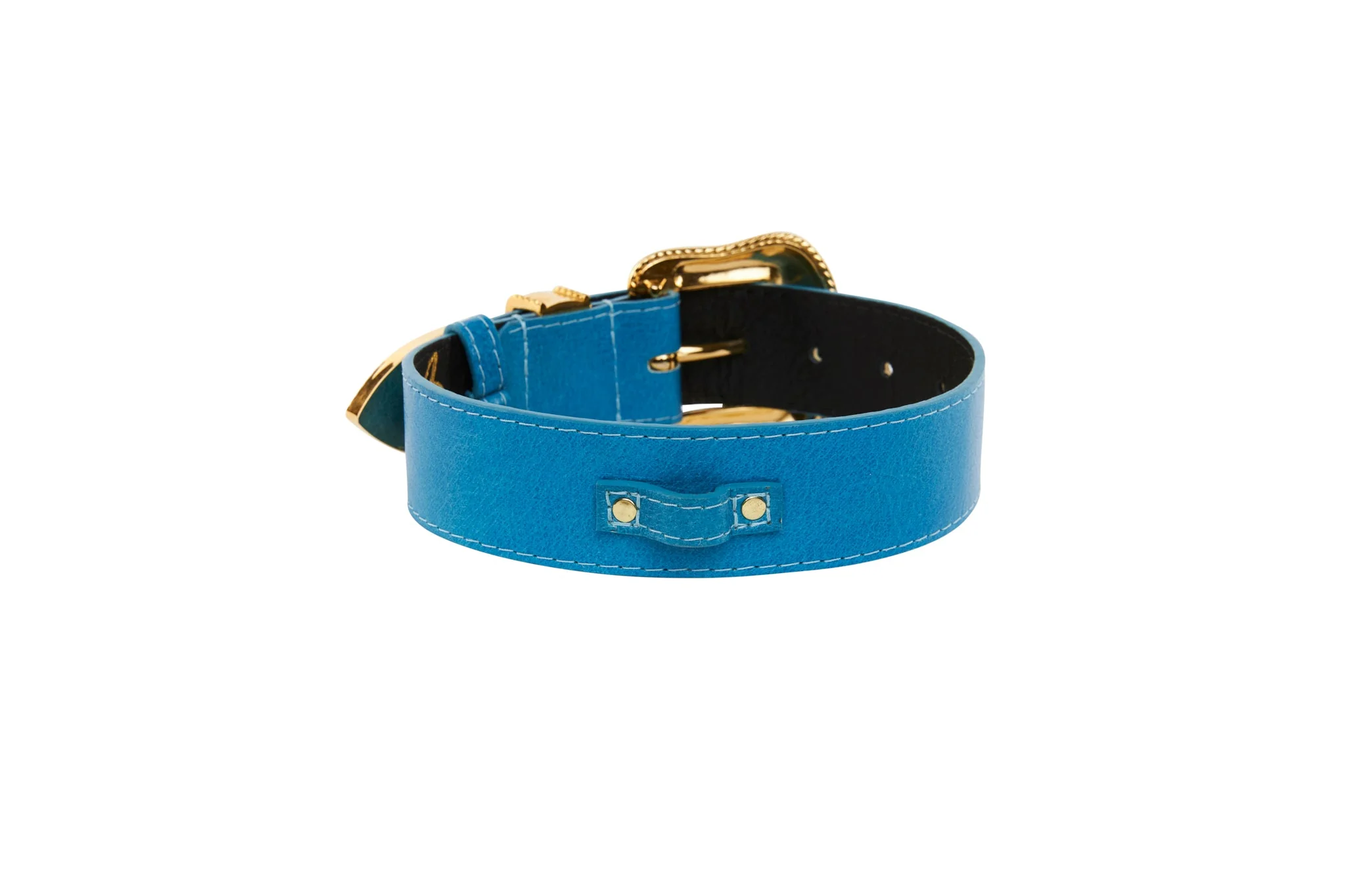 Vegetable Colored Italian Leather Collar With Gold Swarovski Crystal Hardware - Image 3
