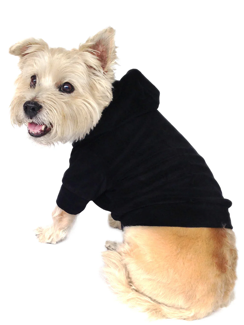 Velour Pullover Hoodie, Black