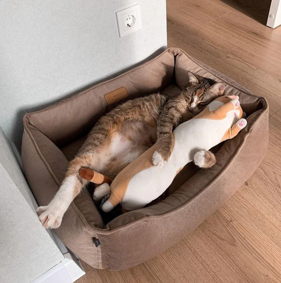 Velvet Cat Bed Dreamer - Image 26