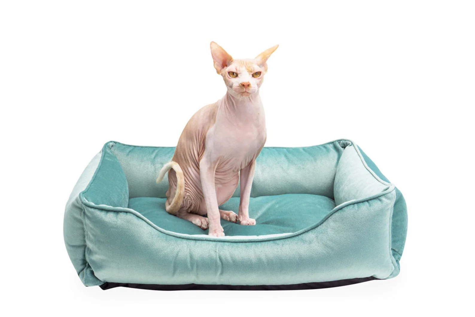 Velvet Cat Bed Dreamer - Image 6