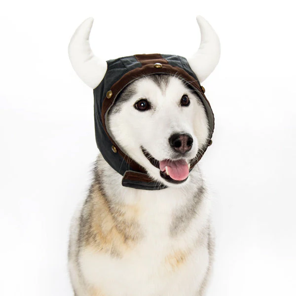 Viking Helmet Hat - Image 2
