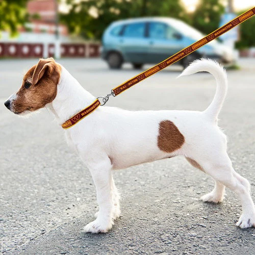 Washington Commanders Satin Ribbon Leash - Image 4