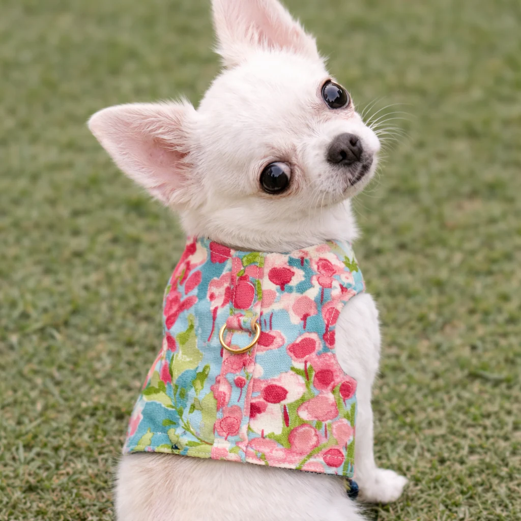 Watercolor Harness