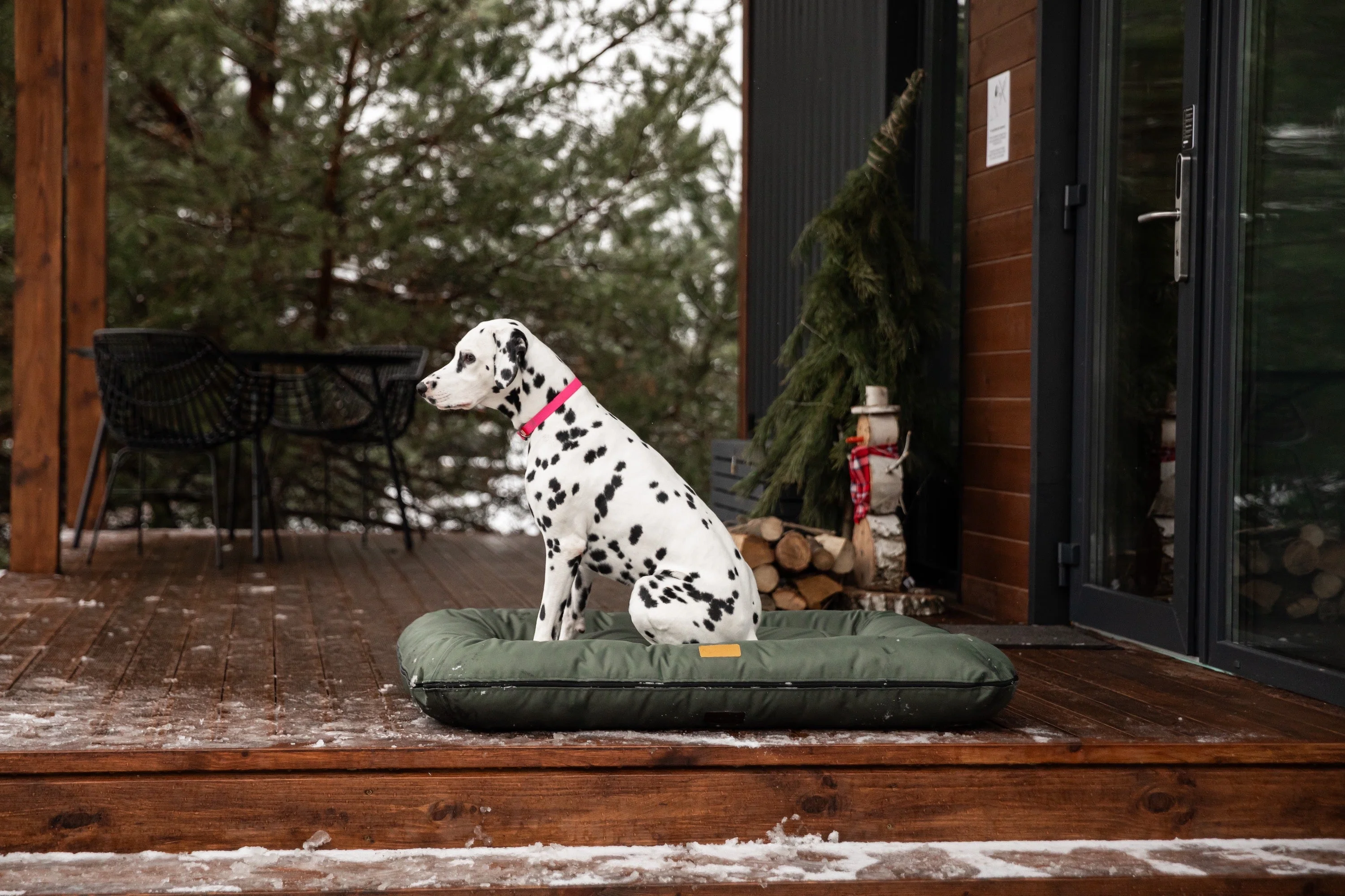 Waterproof Lounger Dog Bed Green - Image 5