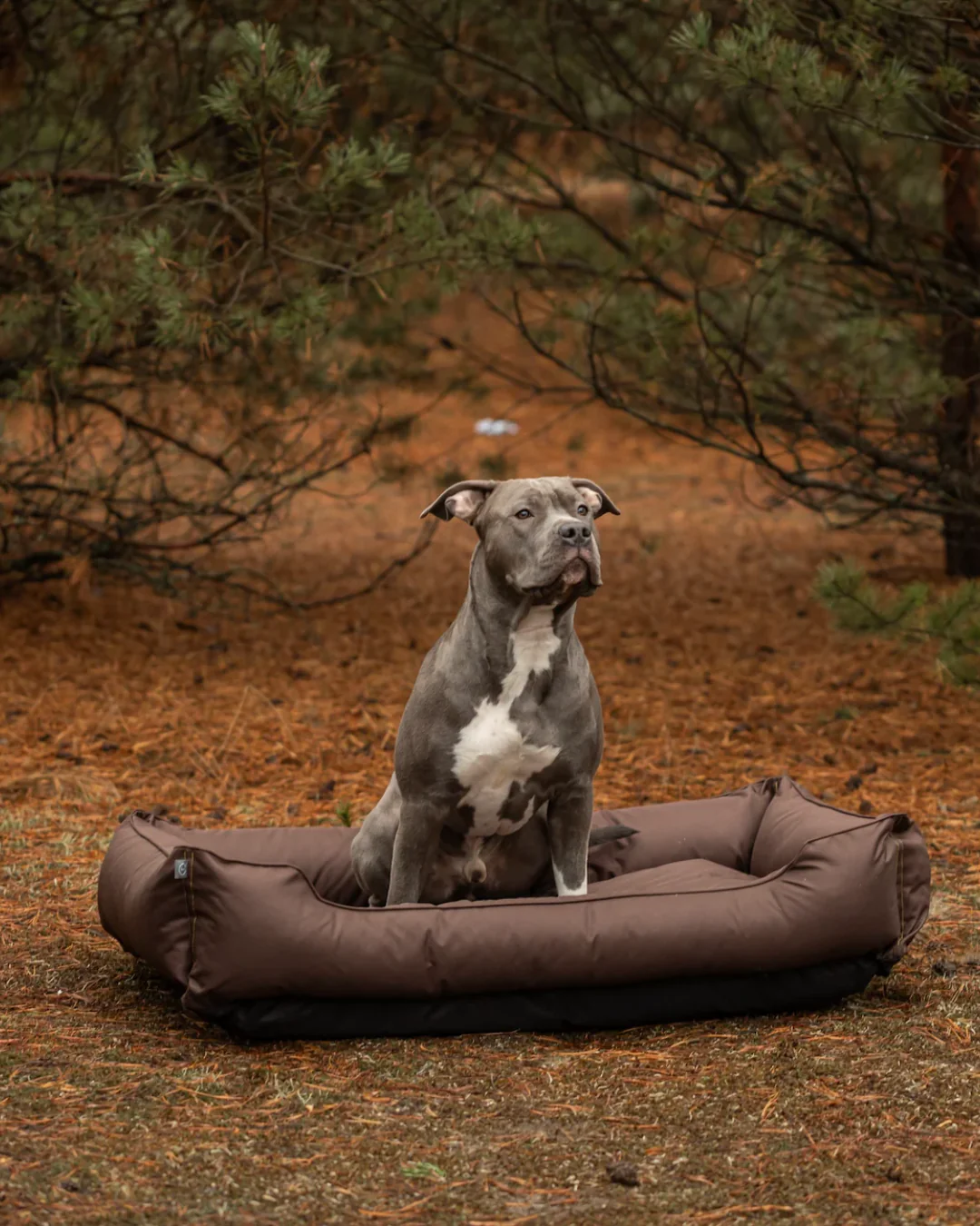 Waterproof Sleeper Dog Bed Brown - Image 3