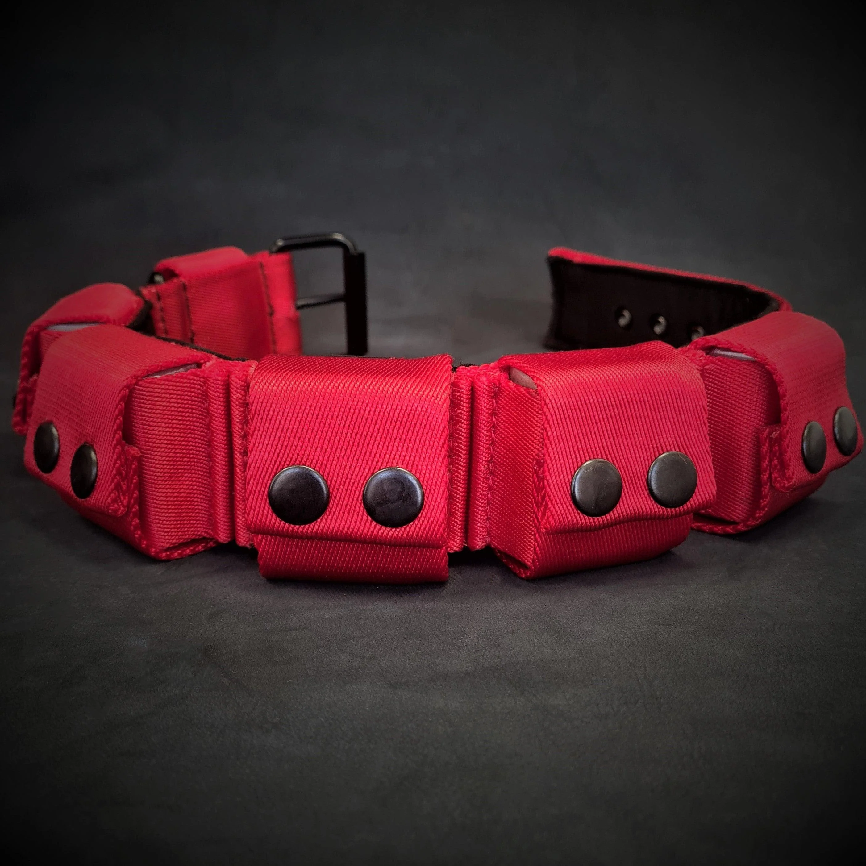 Bestia Dog Gear Personalized Dog Collar - Red/S - Image 3