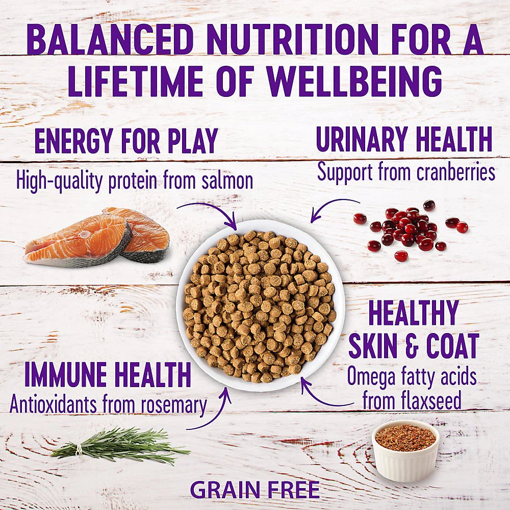 Wellness Complete Health Indoor Healthy Weight Chicken & Turkey Dry Cat Food (5.5lb) - Image 3