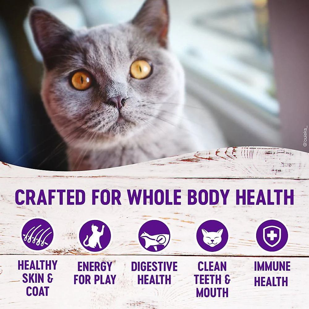 Wellness Complete Health Indoor Healthy Weight Chicken & Turkey Dry Cat Food (5.5lb) - Image 4
