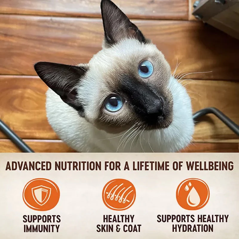 Wellness Core Tiny Tasters Tuna & Salmon Wet Cat Food - Image 3